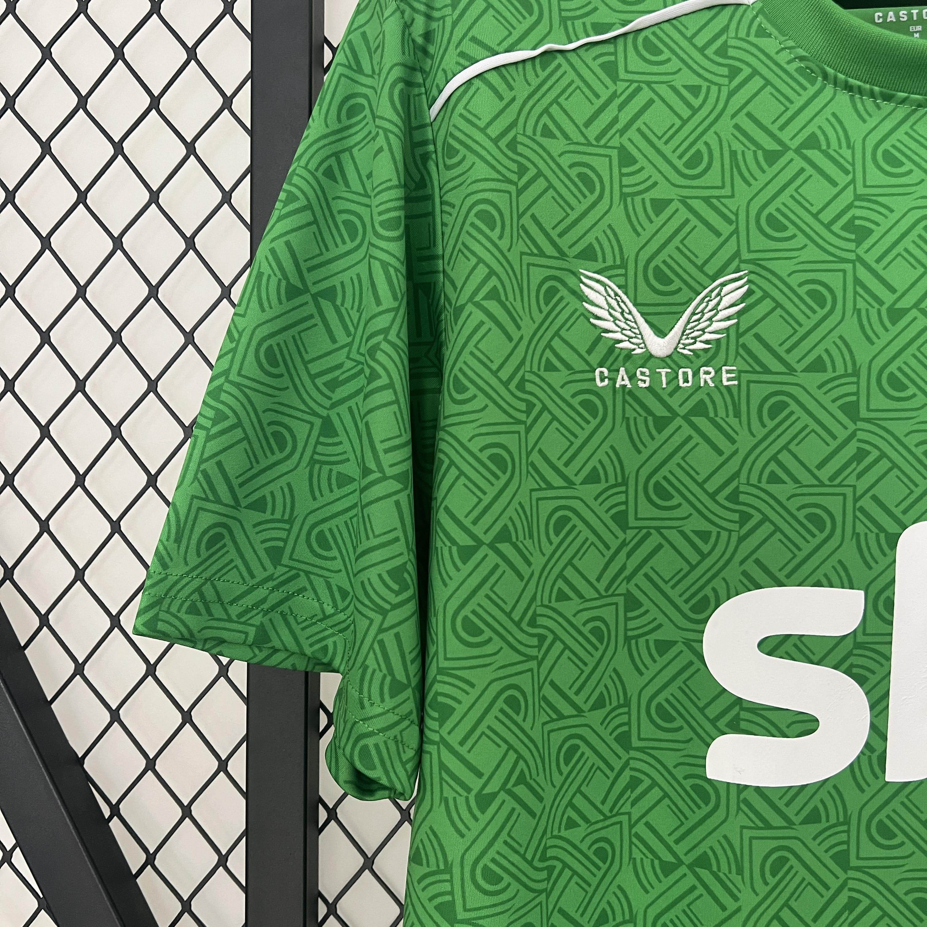 CAMISETA IRLANDA I 24/25 HOMBRE (VERSIÓN FAN) - ZonaCamisetas