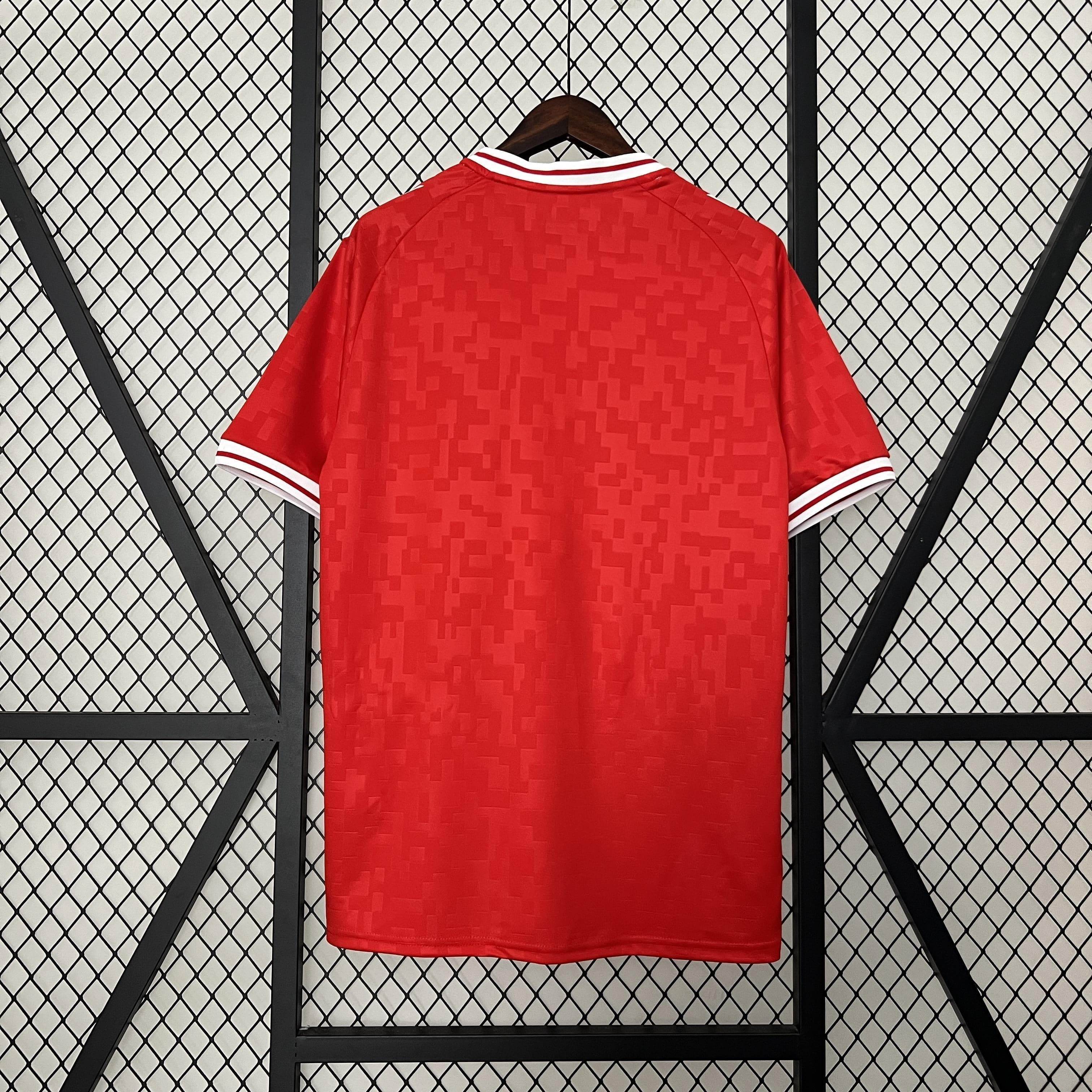 CAMISETA DINAMARCA I 24 HOMBRE (VERSIÓN FAN) - ZonaCamisetas