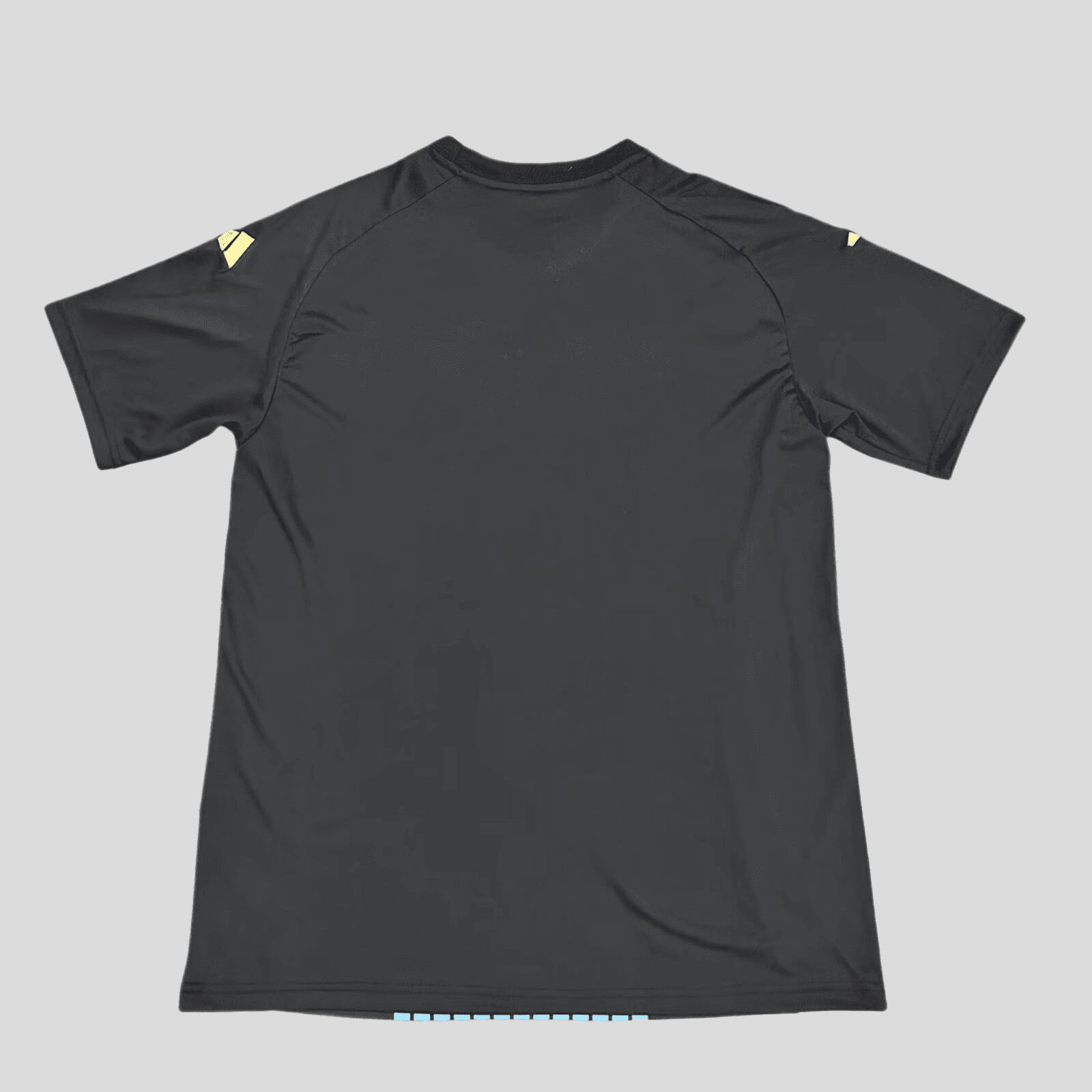 CAMISETA ARGENTINA PREMATCH 24/25 HOMBRE (VERSIÓN FAN) - ZonaCamisetas