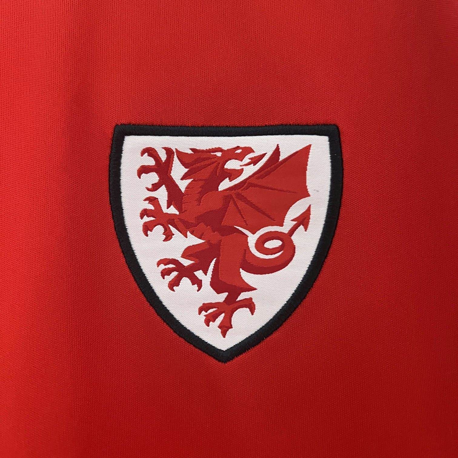CAMISETA GALES EURO 2024 HOMBRE (VERSIÓN FAN) - ZonaCamisetas
