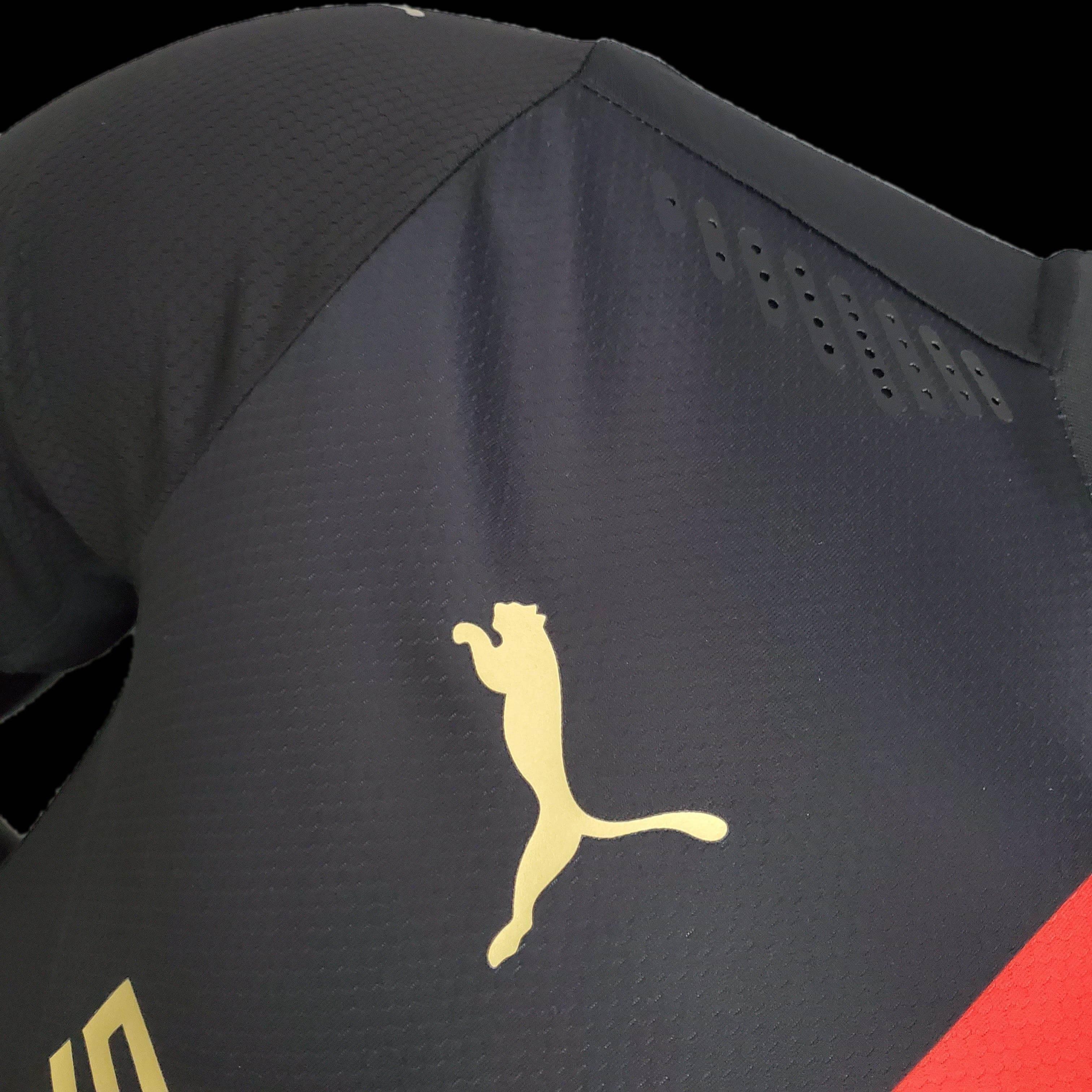 CAMISETA RENNES EDICIÓN ANIVERSARIO 120° 23/24 HOMBRE (VERSIÓN JUGADOR) - ZonaCamisetas