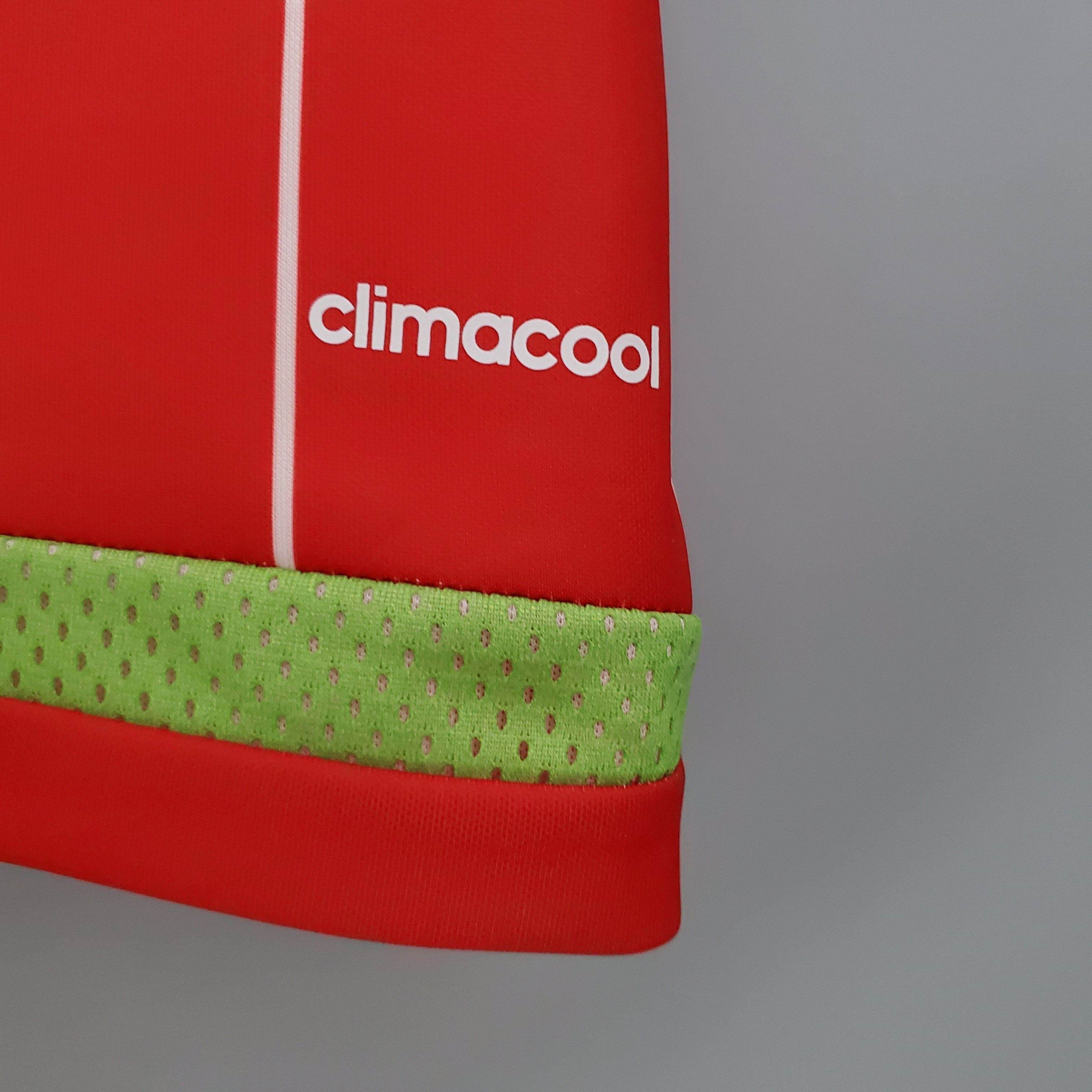 CAMISETA PAÍS DE GALES I 2015 HOMBRE (RETRO) - ZonaCamisetas