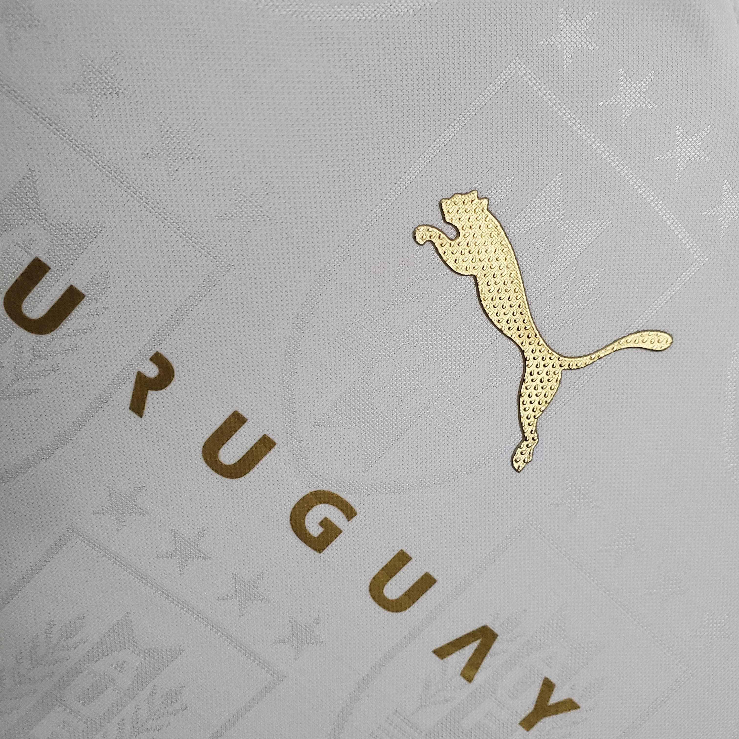 ZonaCamisetas URUGUAY Il EDICIÓN ESPECIAL 21 HOMBRE (VERSIÓN FAN) La Pelota Mundo URUGUAY