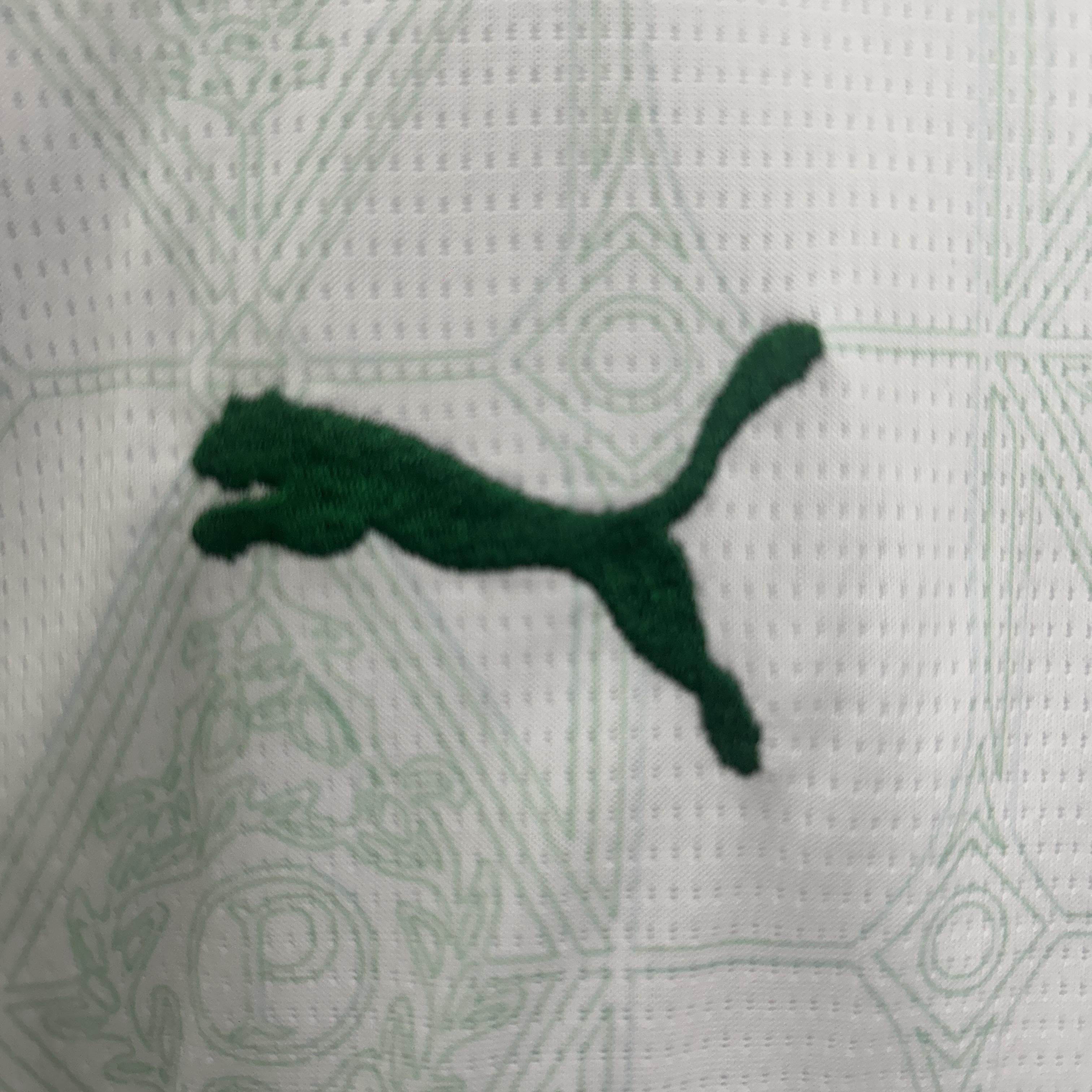 CAMISETA PALMEIRAS lI 25/26 CONJUNTO INFANTIL - ZonaCamisetas