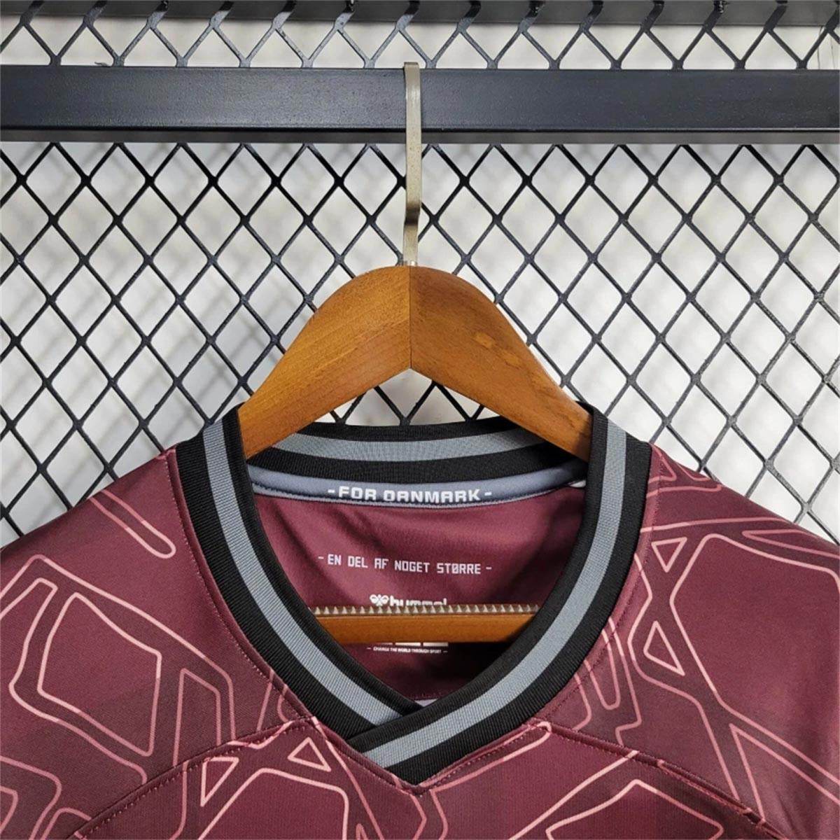 CAMISETA DINAMARCA ESPECIAL HOMBRE (VERSIÓN FAN) - ZonaCamisetas