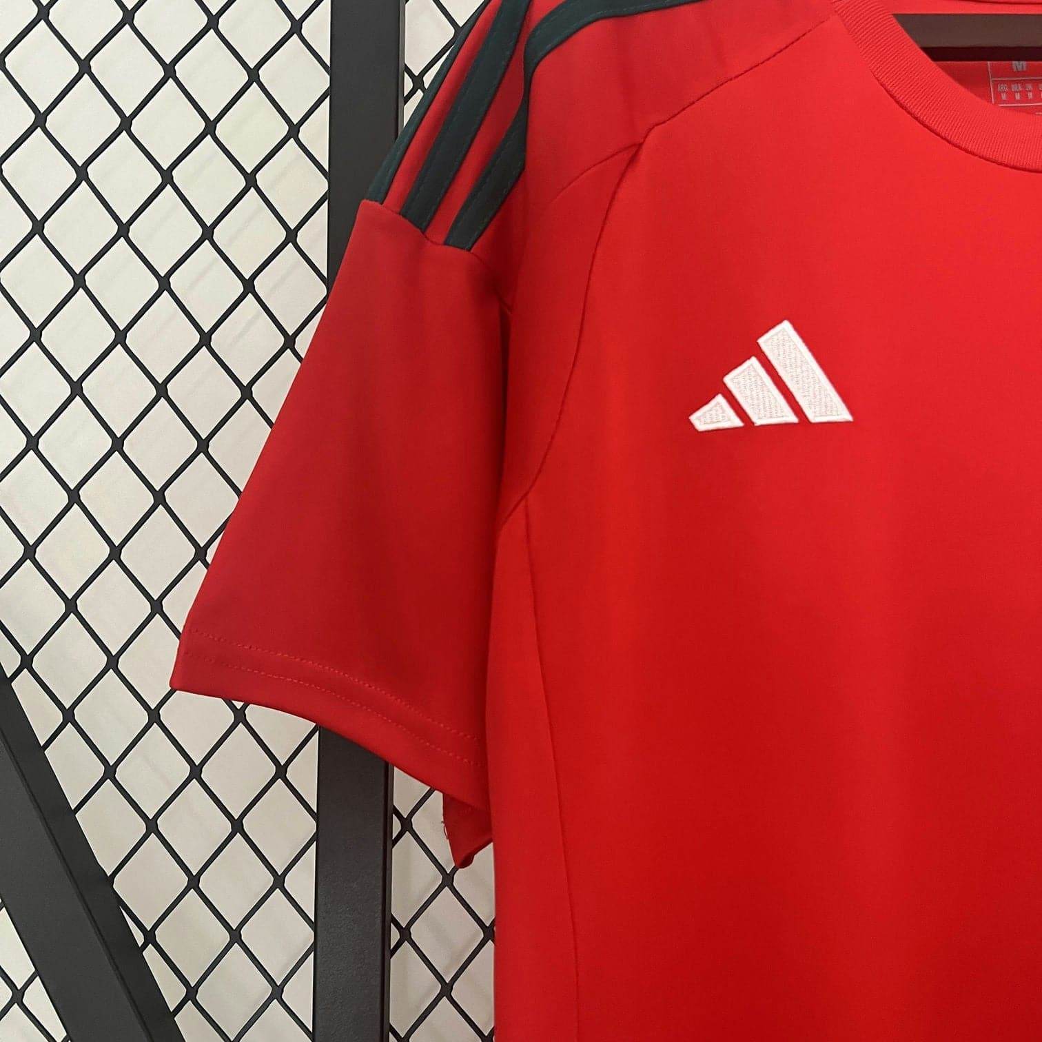 CAMISETA GALES EURO 2024 HOMBRE (VERSIÓN FAN) - ZonaCamisetas