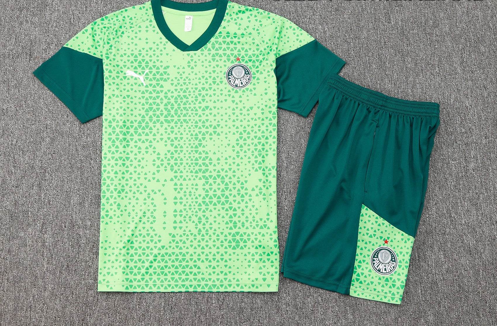 CONJUNTO CORTO PALMEIRAS ENTRENAMIENTO I 24/25 HOMBRE - ZonaCamisetas