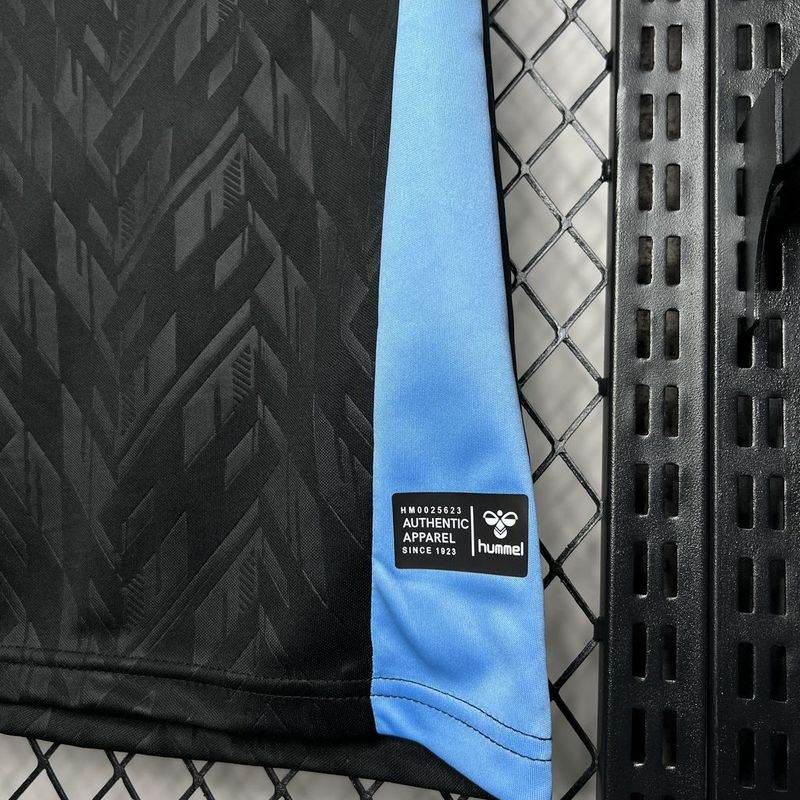 CAMISETA WERDER BREMEN Ill 24/25 HOMBRE (VERSIÓN FAN) - ZonaCamisetas