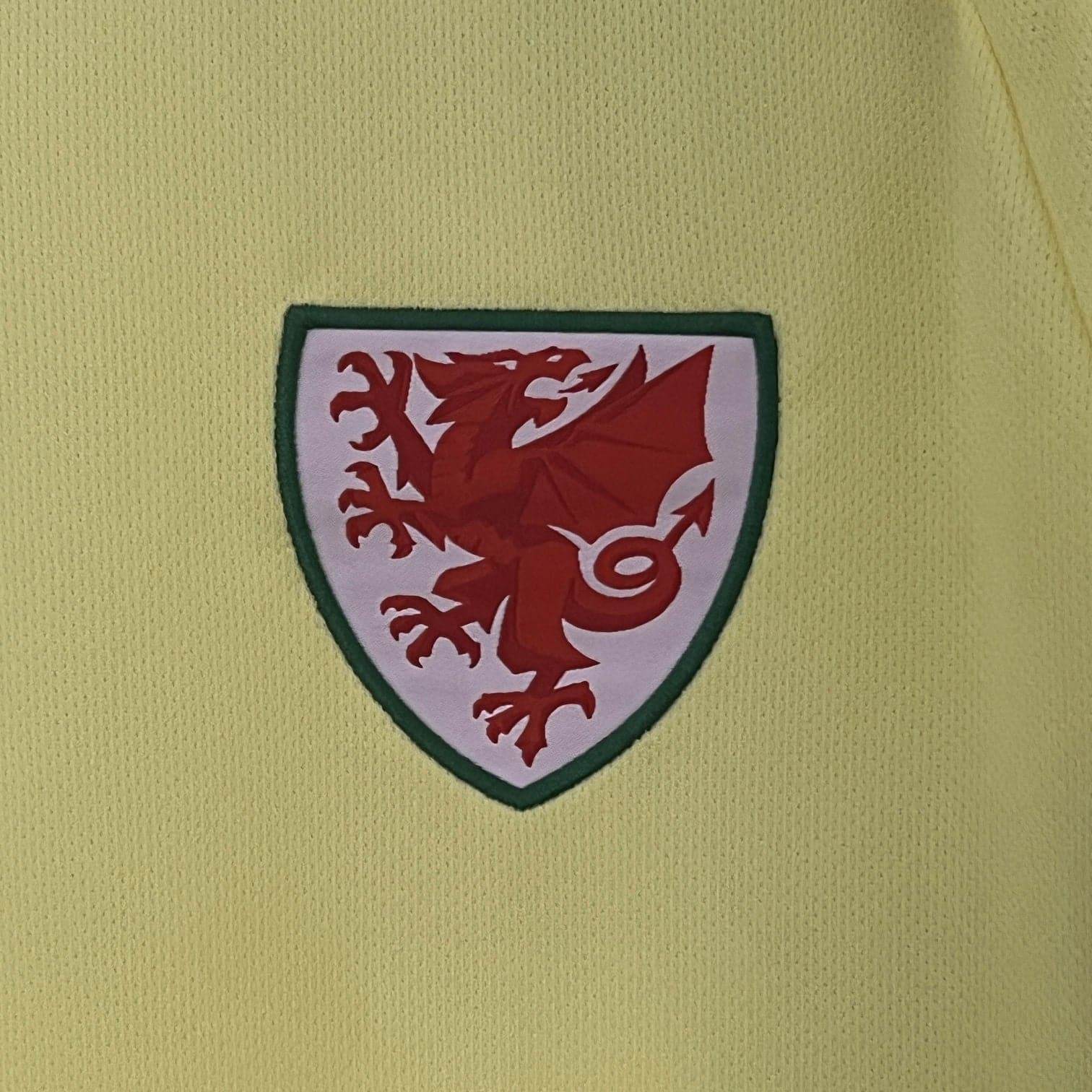 CAMISETA GALES ll EURO 2024 HOMBRE (VERSIÓN FAN) - ZonaCamisetas