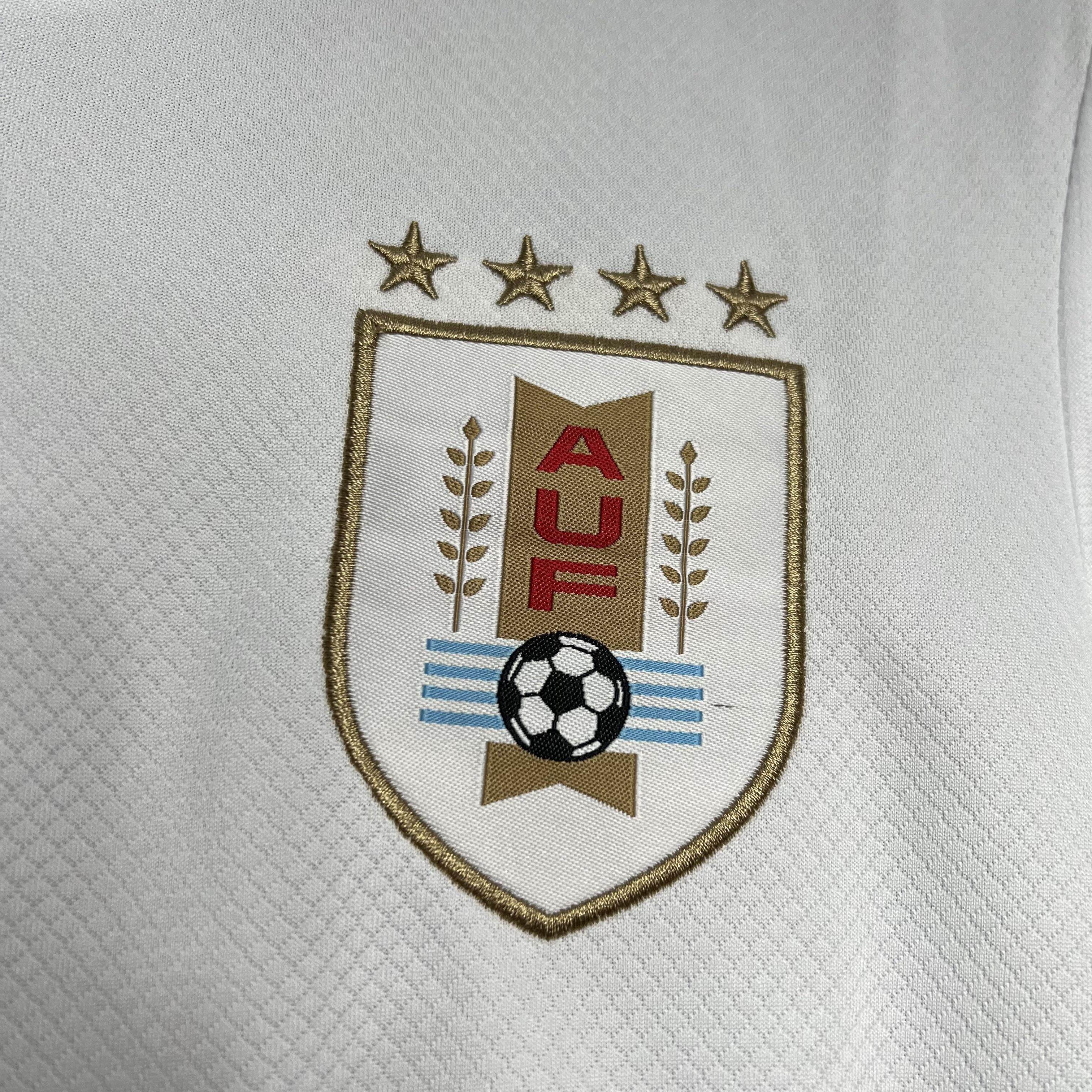 CAMISETA URUGUAY lI 2024 HOMBRE (VERSIÓN FAN) - ZonaCamisetas