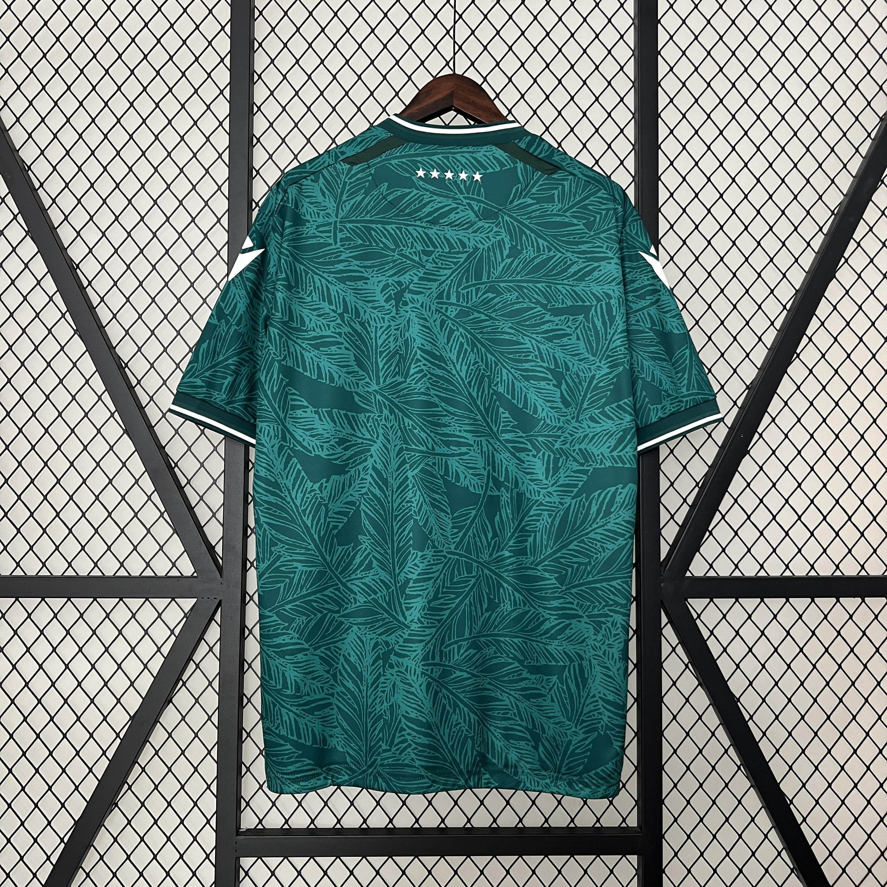 CAMISETA SANTIAGO WANDERERS I 24/25 HOMBRE (VERSIÓN FAN) - ZonaCamisetas