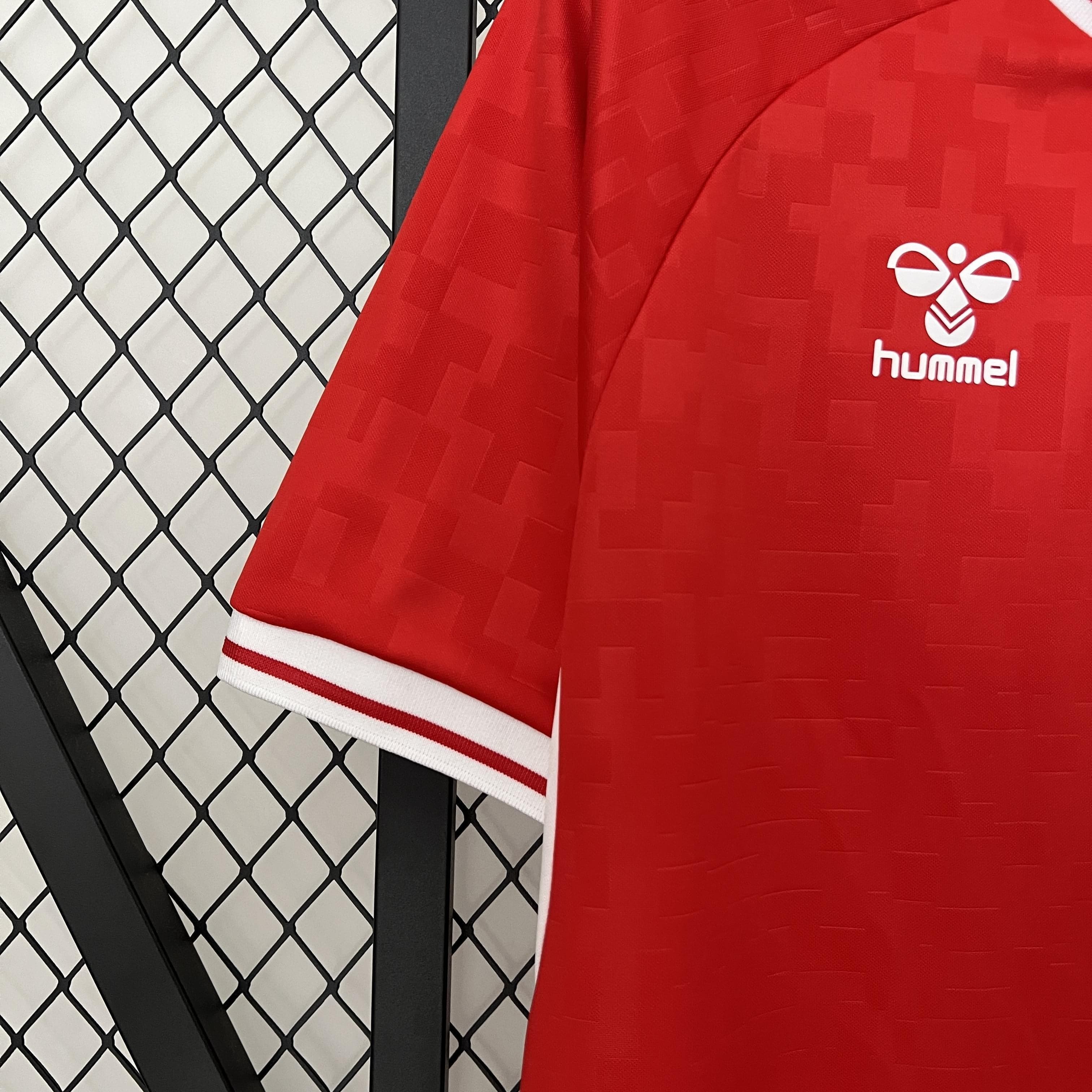 ZonaCamisetas DINAMARCA I 24 HOMBRE (VERSIÓN FAN) La Pelota Mundo DENMARK DINAMARCA