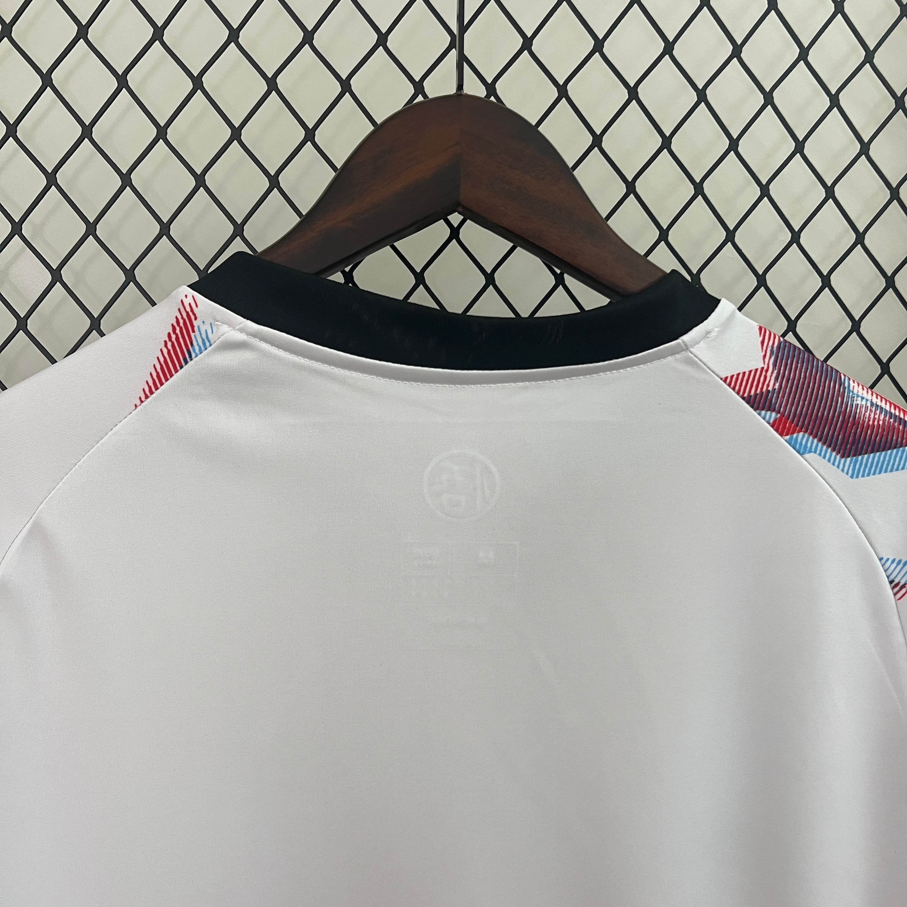 CAMISETA JAPÓN GOKU Il 2024 HOMBRE (VERSIÓN FAN) - ZonaCamisetas