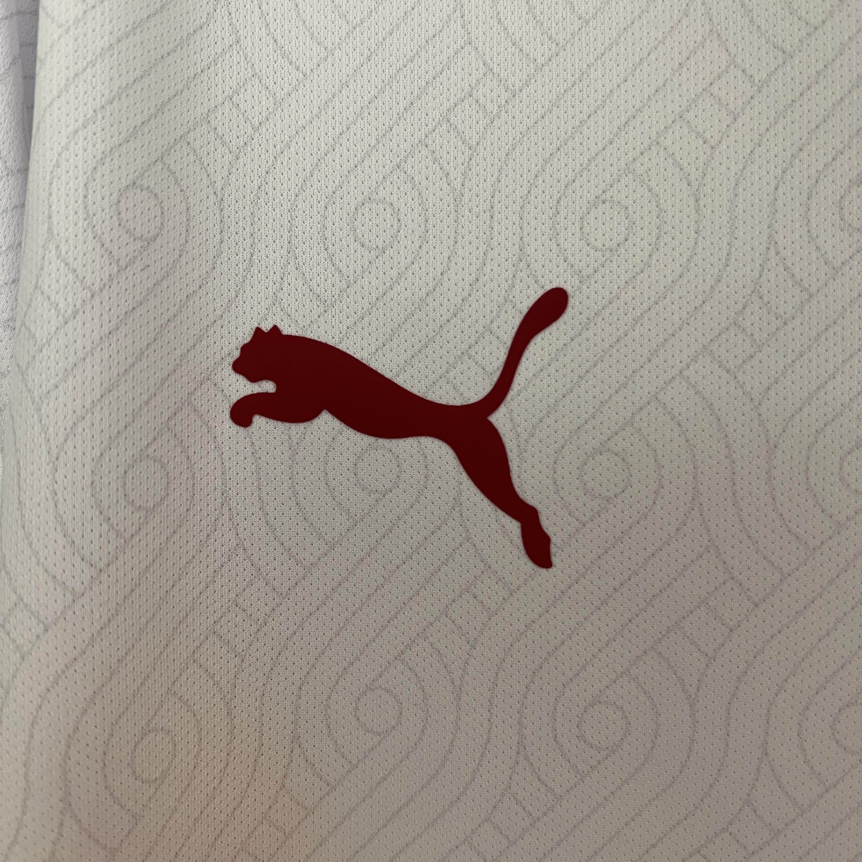 CAMISETA GALATASARAY Il 24/25 HOMBRE (VERSIÓN FAN) - ZonaCamisetas
