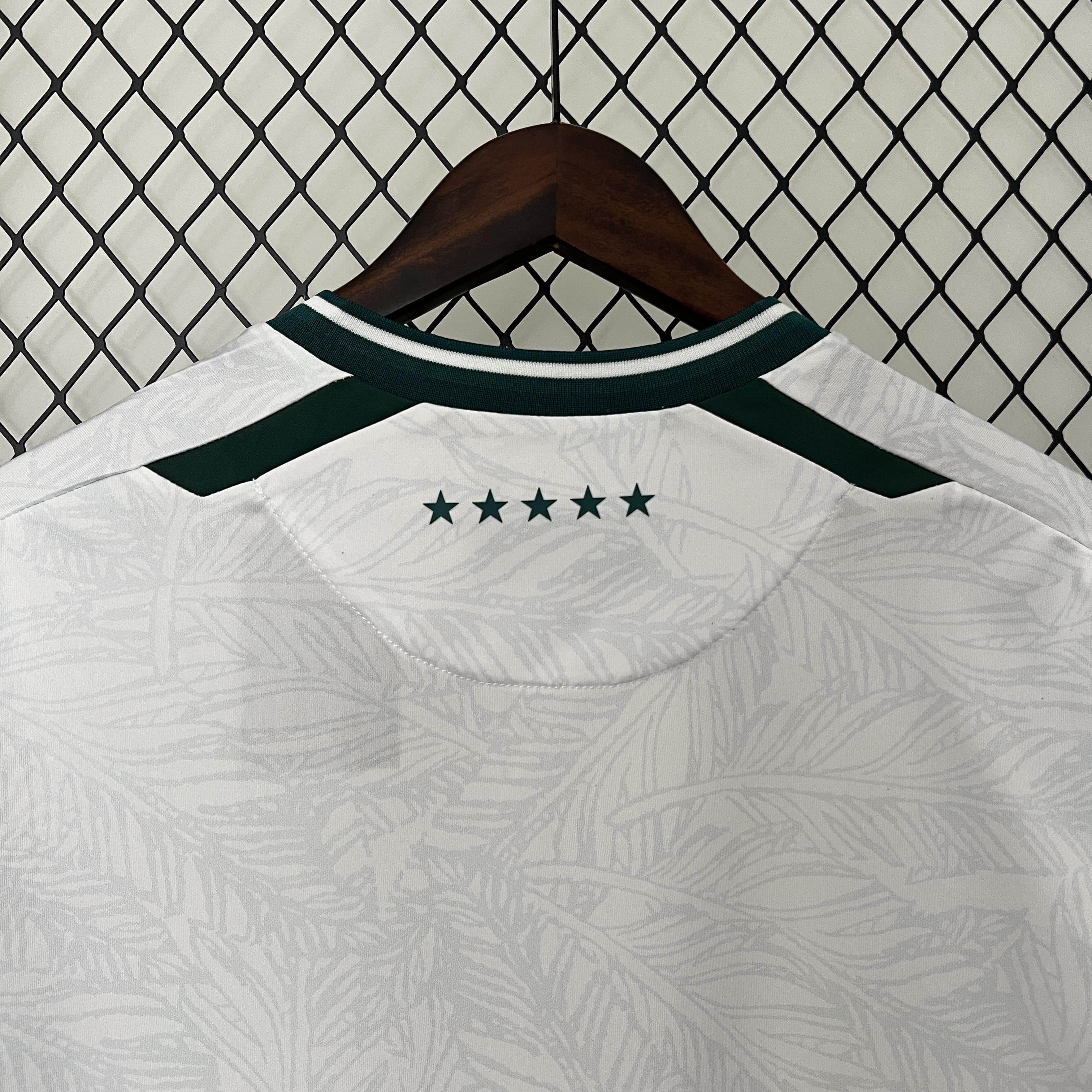CAMISETA SANTIAGO WANDERERS Il 24/25 HOMBRE (VERSIÓN FAN) - ZonaCamisetas