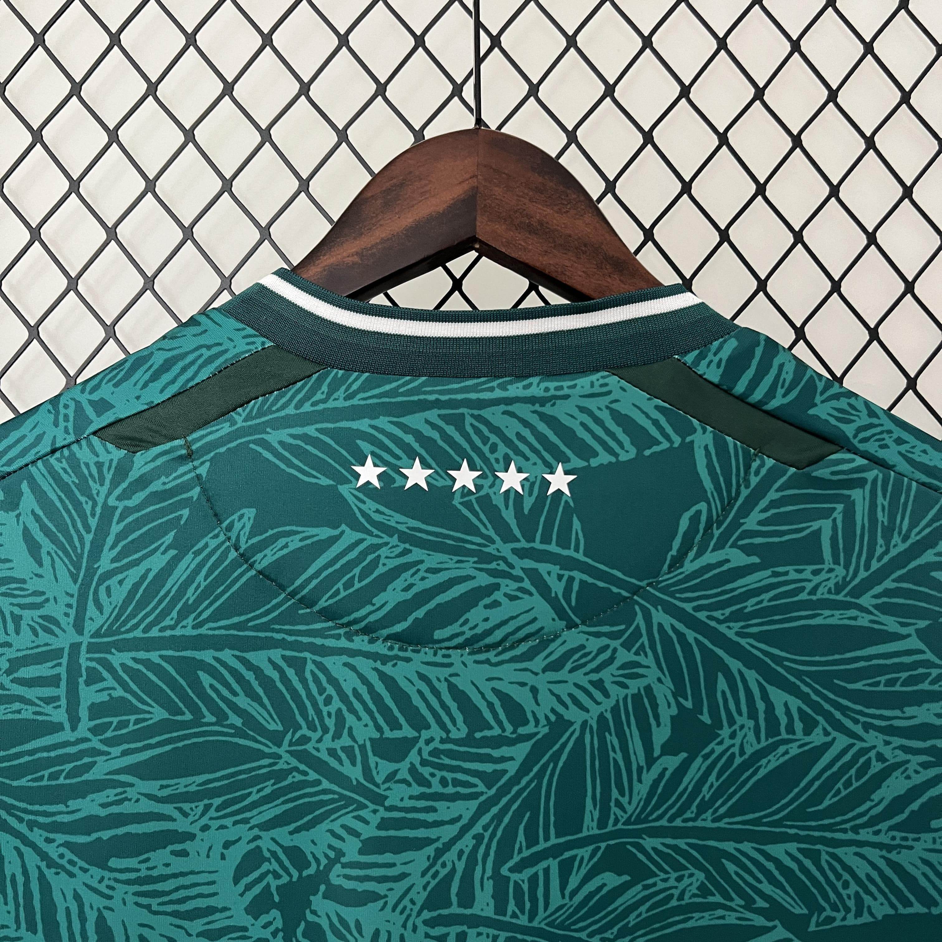 CAMISETA SANTIAGO WANDERERS I 24/25 HOMBRE (VERSIÓN FAN) - ZonaCamisetas