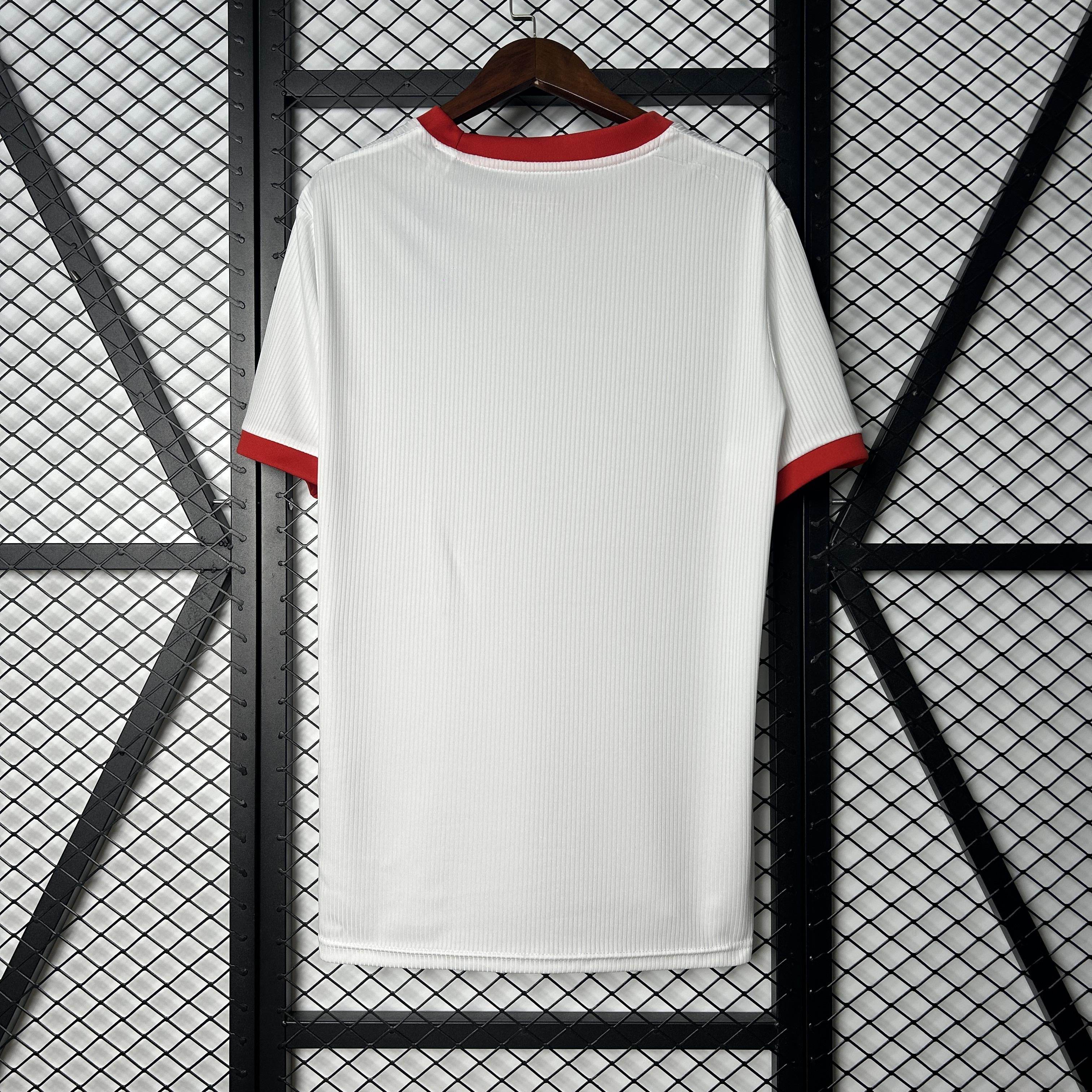 CAMISETA BENFICA ESPECIAL 25/26 HOMBRE (VERSIÓN FAN) - ZonaCamisetas