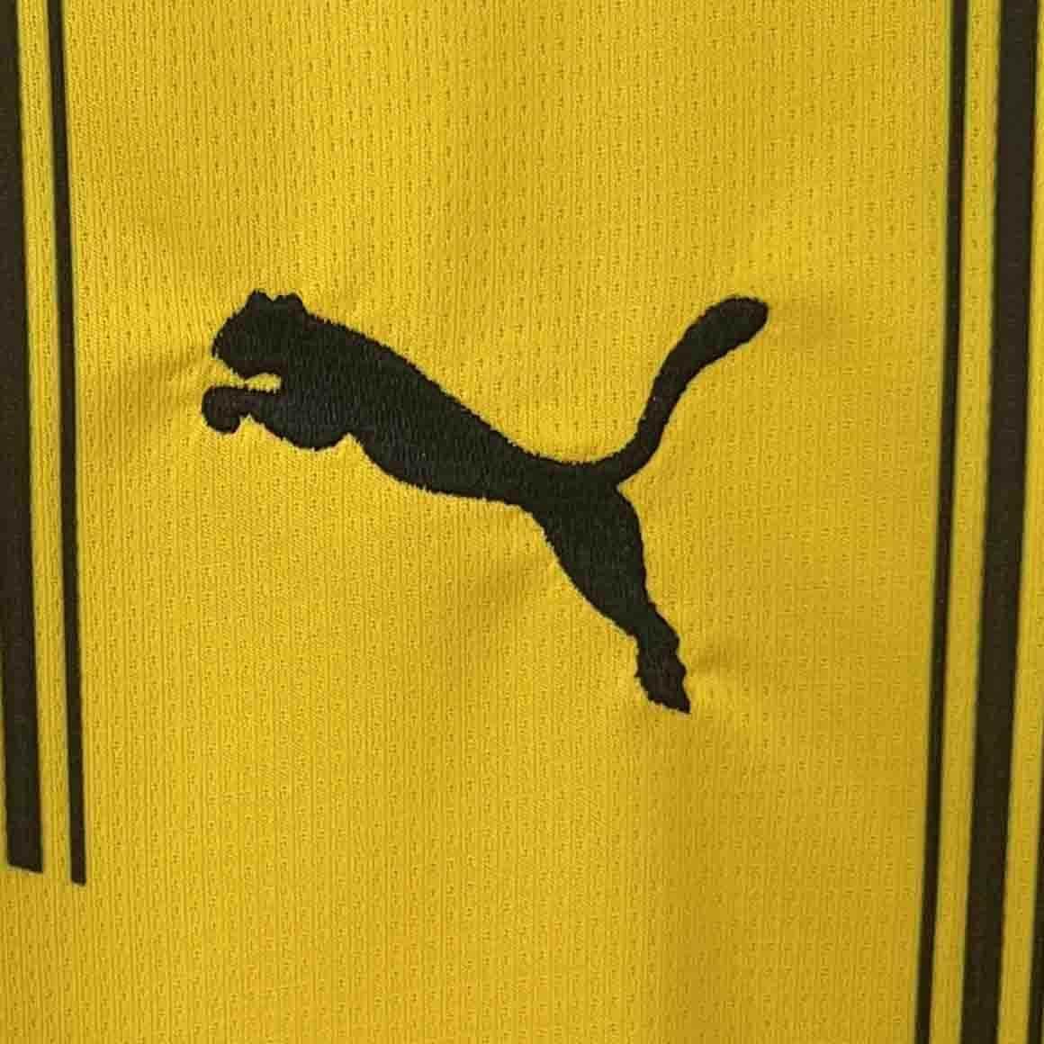 CAMISETA BORUSSIA DORTMUND I 24/25 HOMBRE (VERSIÓN FAN) - ZonaCamisetas