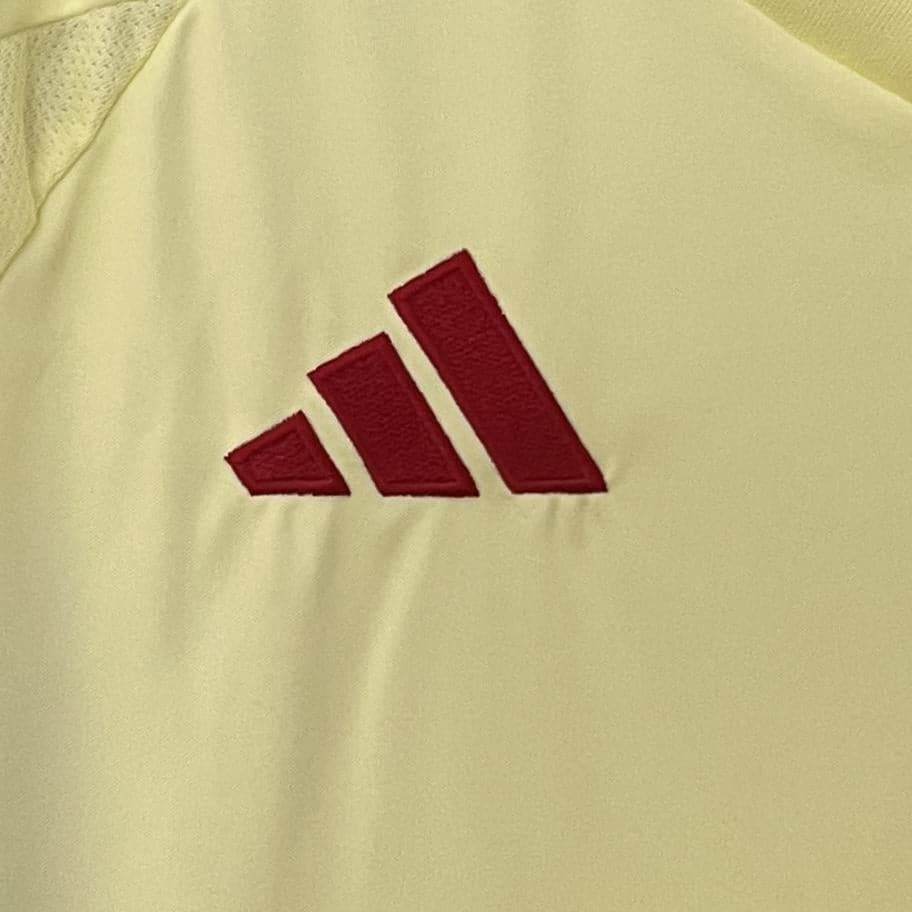CAMISETA ESPAÑA II EURO 2024 HOMBRE (VERSIÓN FAN) - ZonaCamisetas
