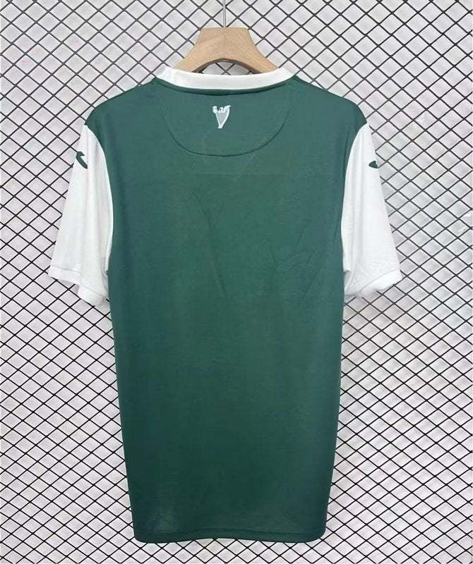 CAMISETA HIBERNIAN I 25/26 HOMBRE (VERSIÓN FAN)