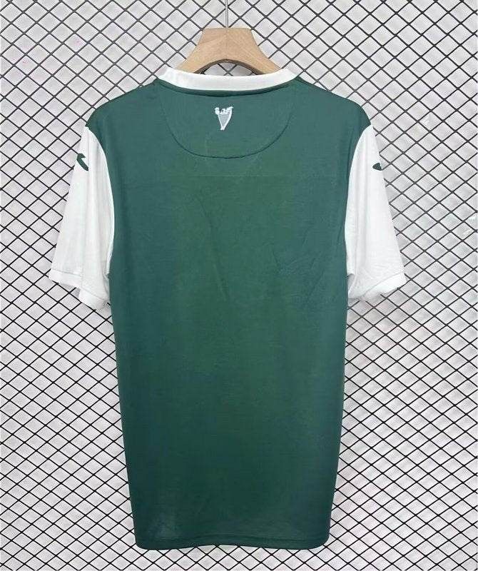 CAMISETA HIBERNIAN I 25/26 HOMBRE (VERSIÓN FAN) - ZonaCamisetas