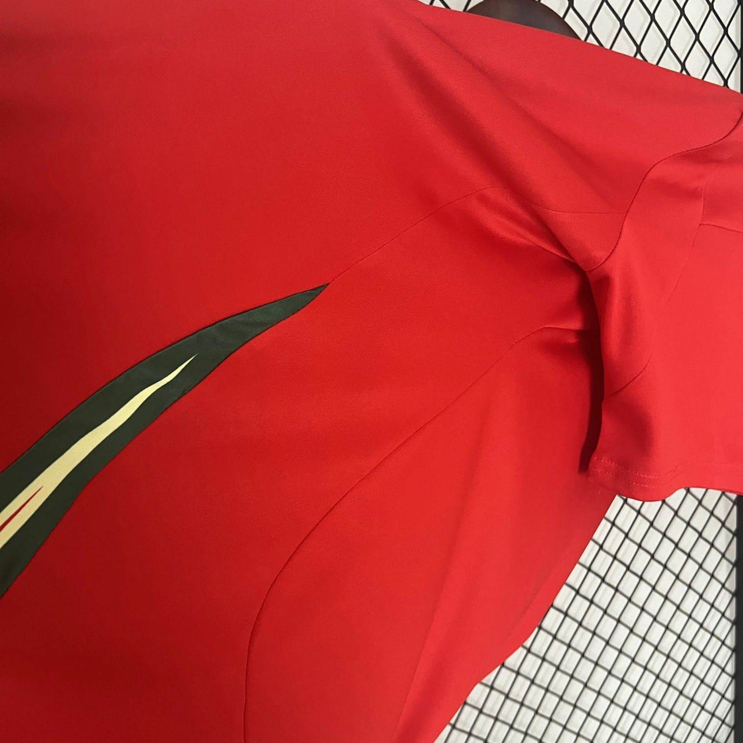 CAMISETA GALES EURO 2024 HOMBRE (VERSIÓN FAN) - ZonaCamisetas