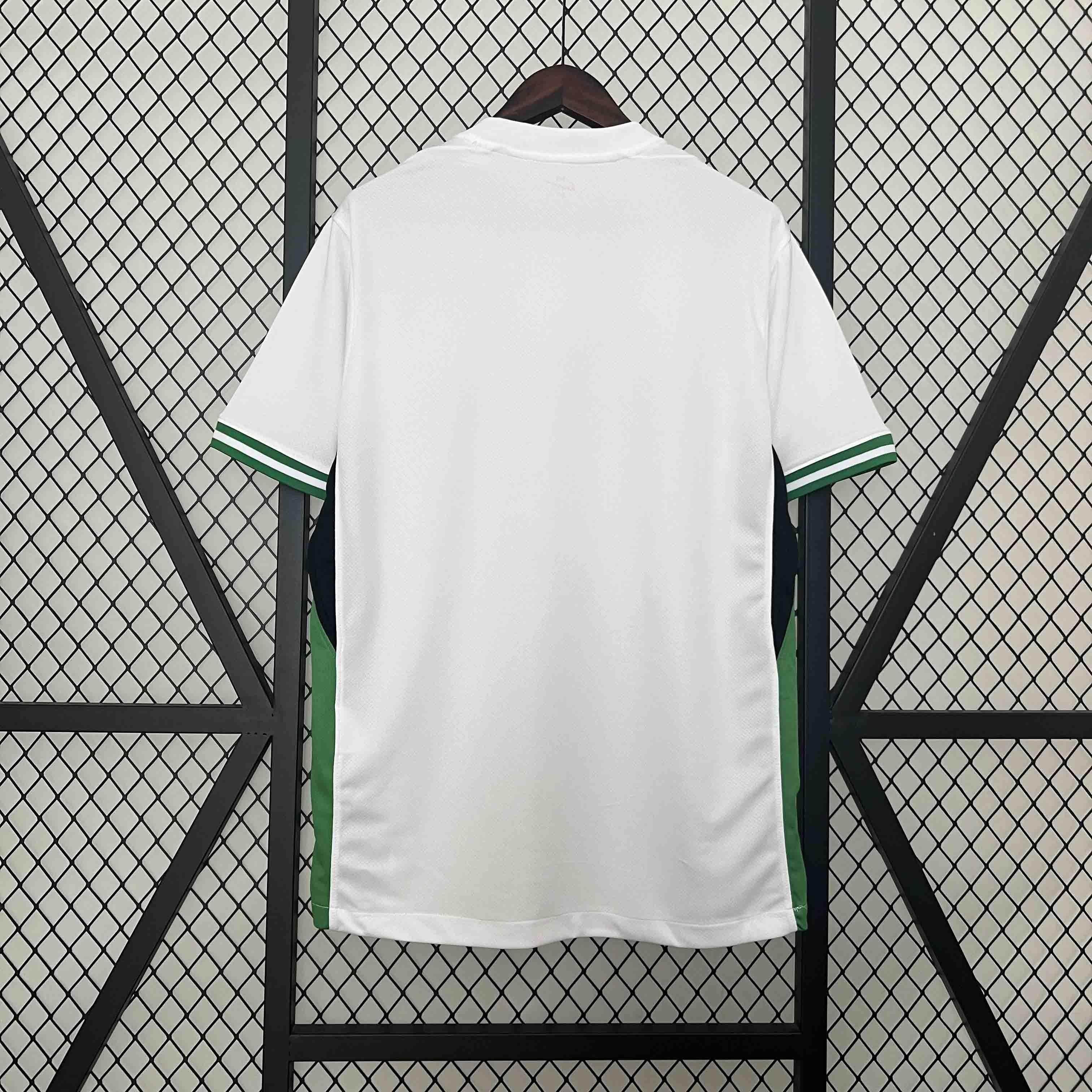 CAMISETA NIGERIA I 2024 HOMBRE (VERSIÓN FAN) - ZonaCamisetas