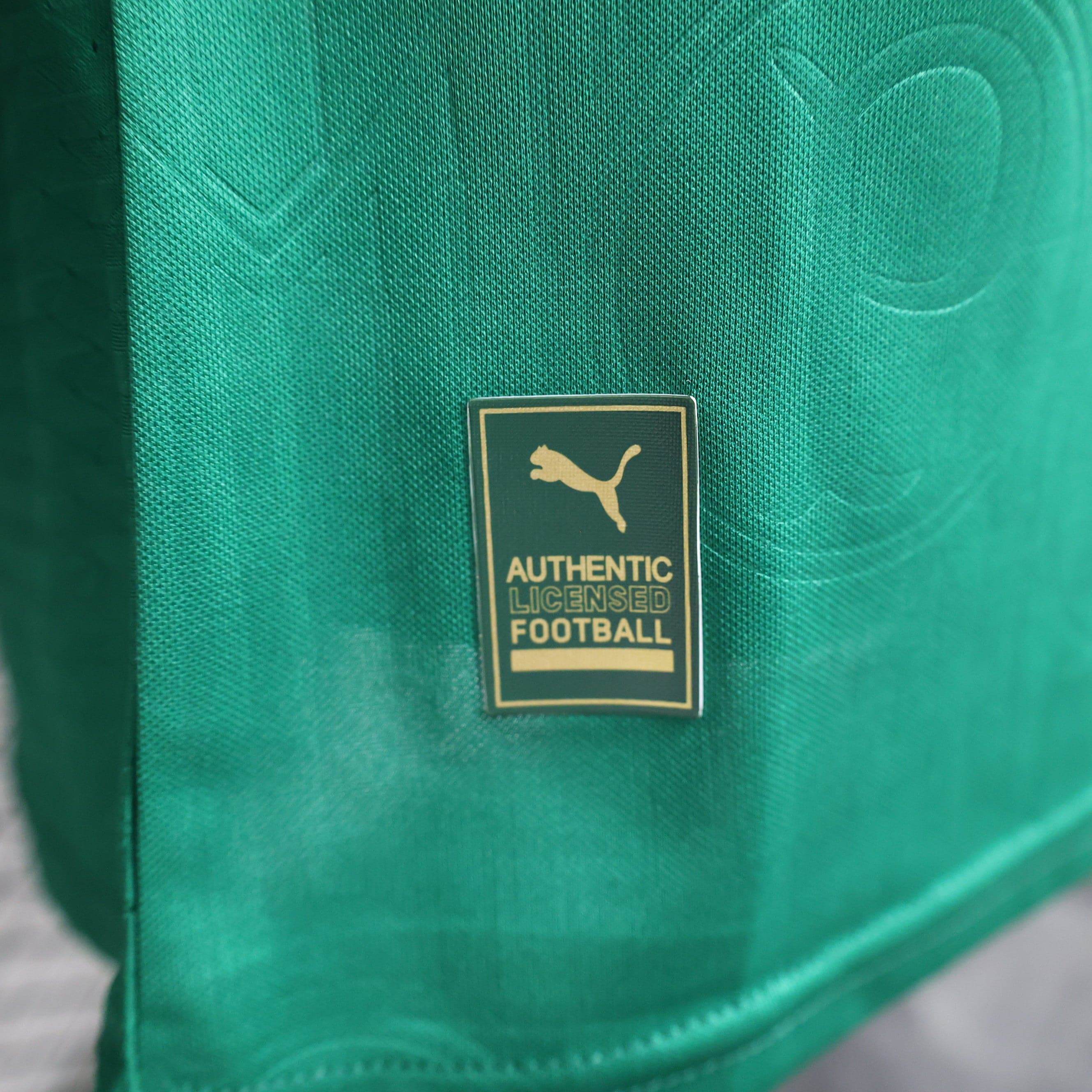 CAMISETA PALMEIRAS I 24/25 HOMBRE (VERSIÓN JUGADOR) - ZonaCamisetas