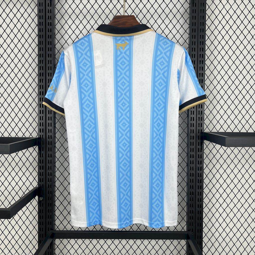 CAMISETA ARGENTINA I 24/25 HOMBRE ESPECIAL (VERSIÓN FAN) - ZonaCamisetas