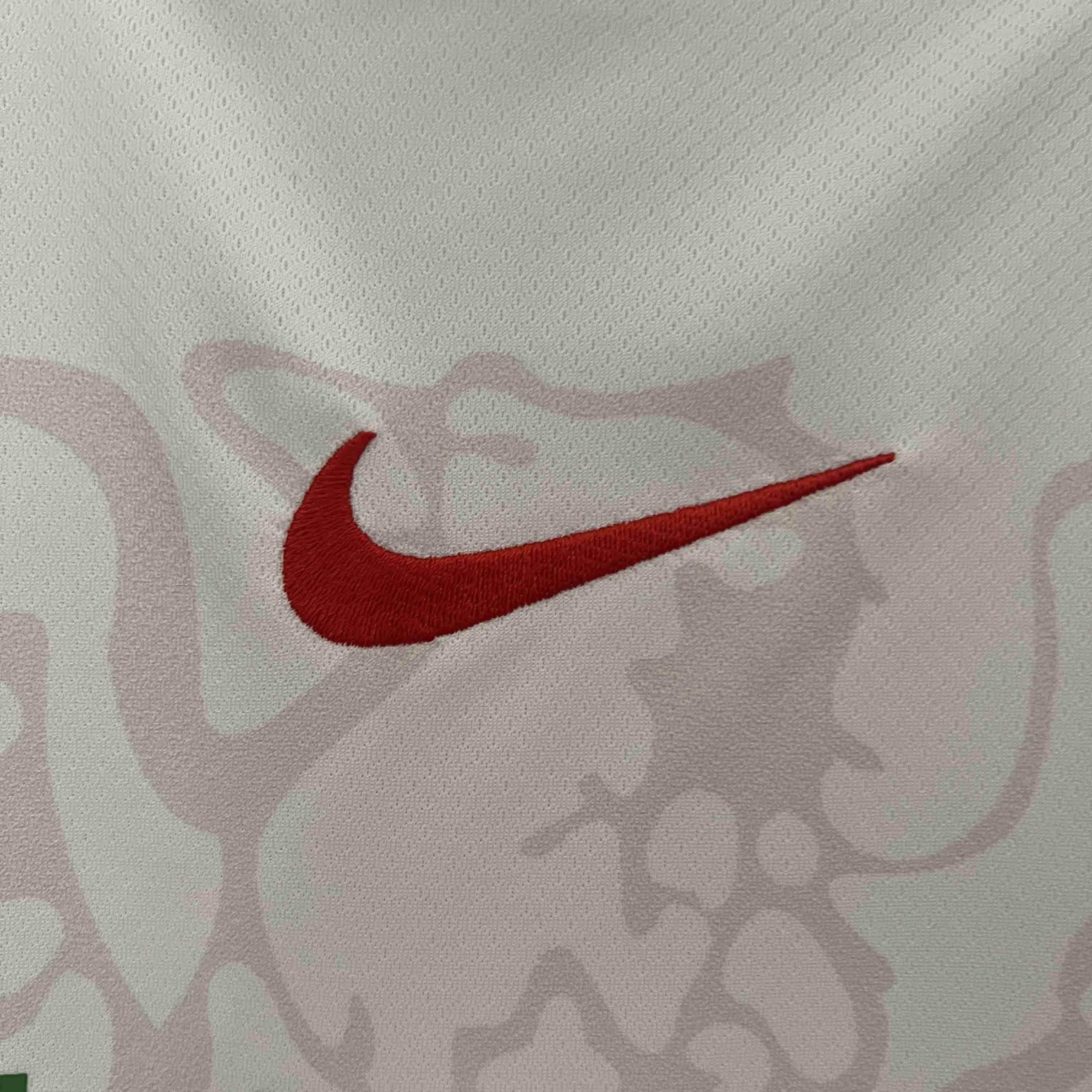 CAMISETA NIGERIA I 2024 HOMBRE (VERSIÓN FAN) - ZonaCamisetas