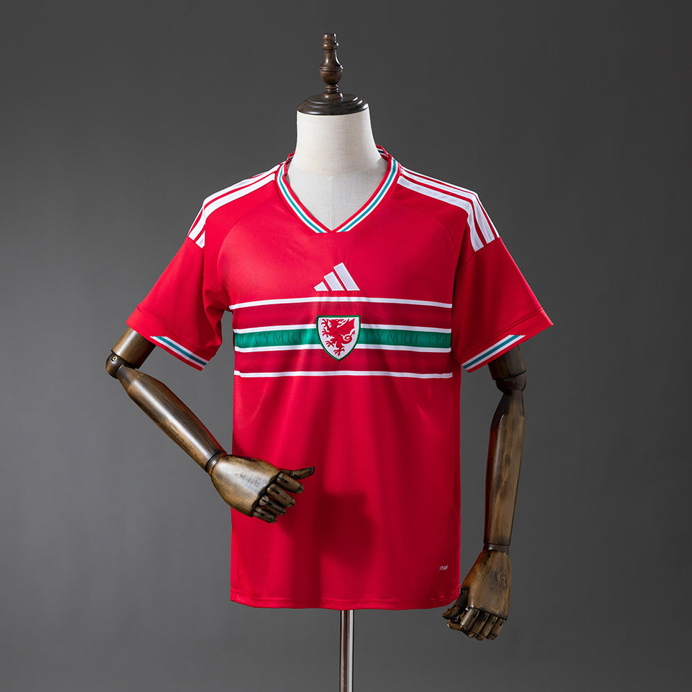 CAMISETA GALES I 2026 HOMBRE (VERSIÓN FAN)