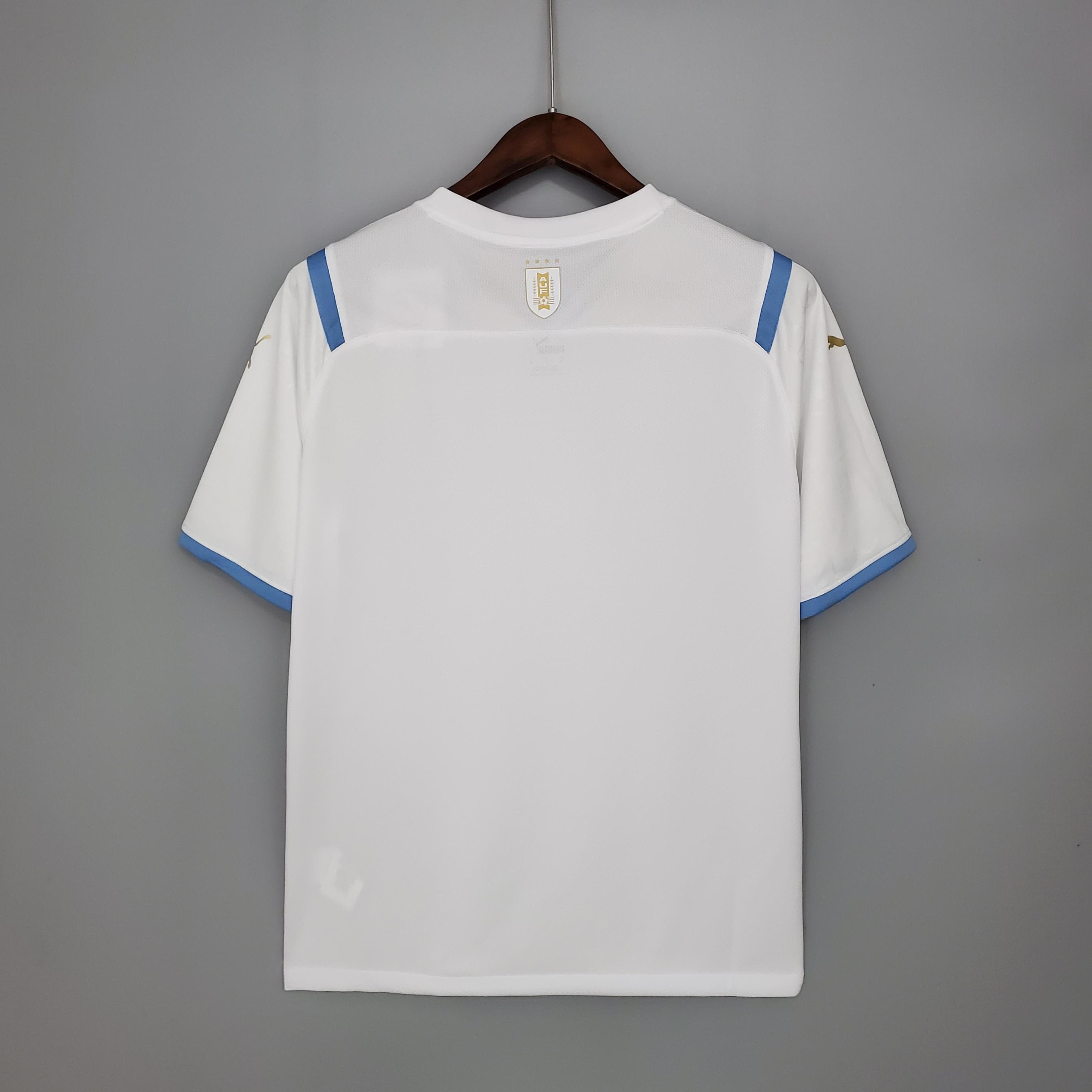 ZonaCamisetas URUGUAY Il EDICIÓN ESPECIAL 21 HOMBRE (VERSIÓN FAN) La Pelota Mundo URUGUAY