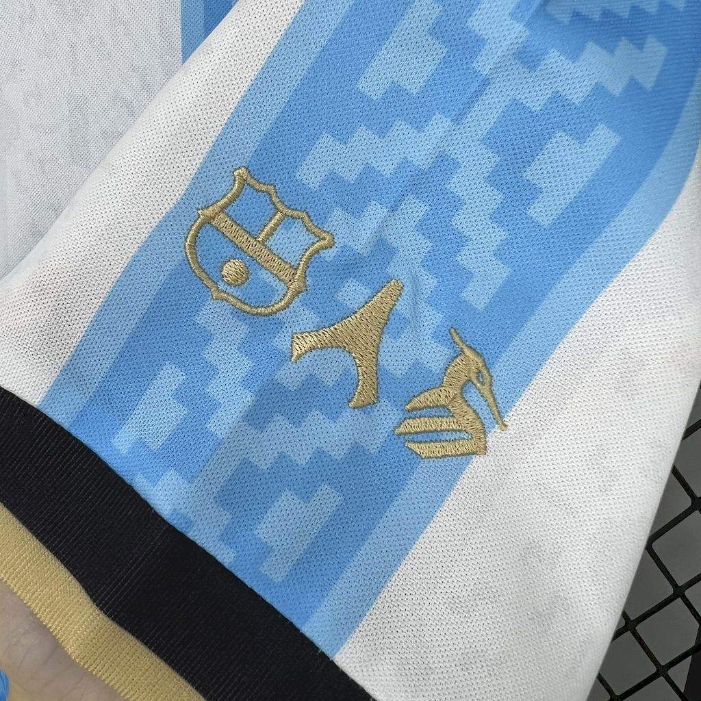 CAMISETA ARGENTINA I 24/25 HOMBRE ESPECIAL (VERSIÓN FAN) - ZonaCamisetas