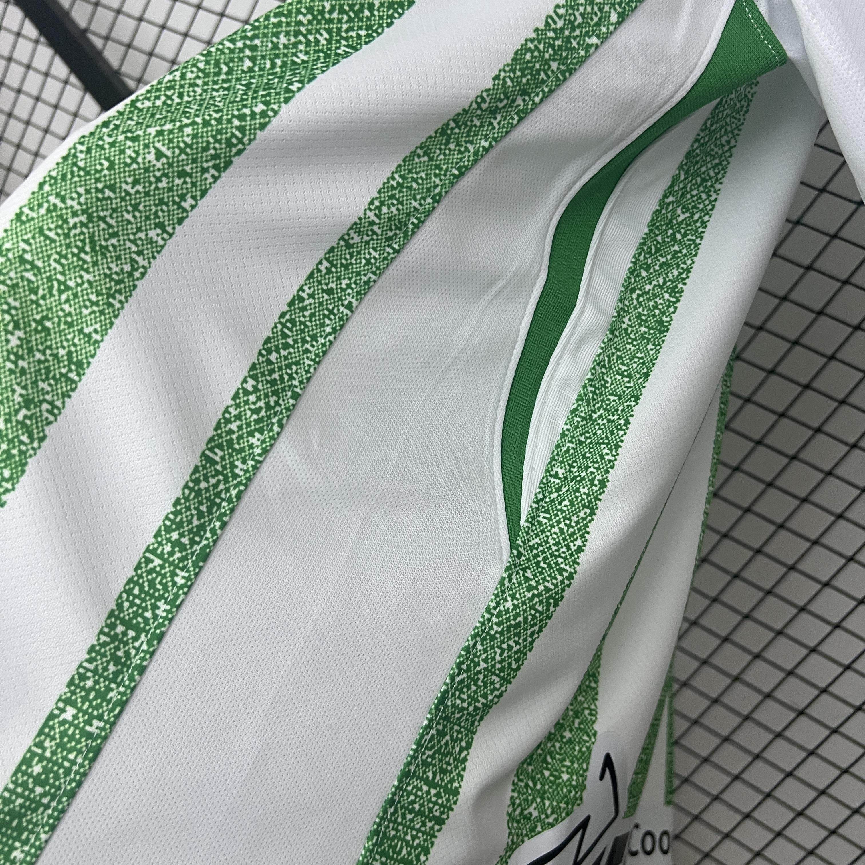 CAMISETA ATLETICO NACIONAL l 25/26 HOMBRE (VERSIÓN FAN) - ZonaCamisetas