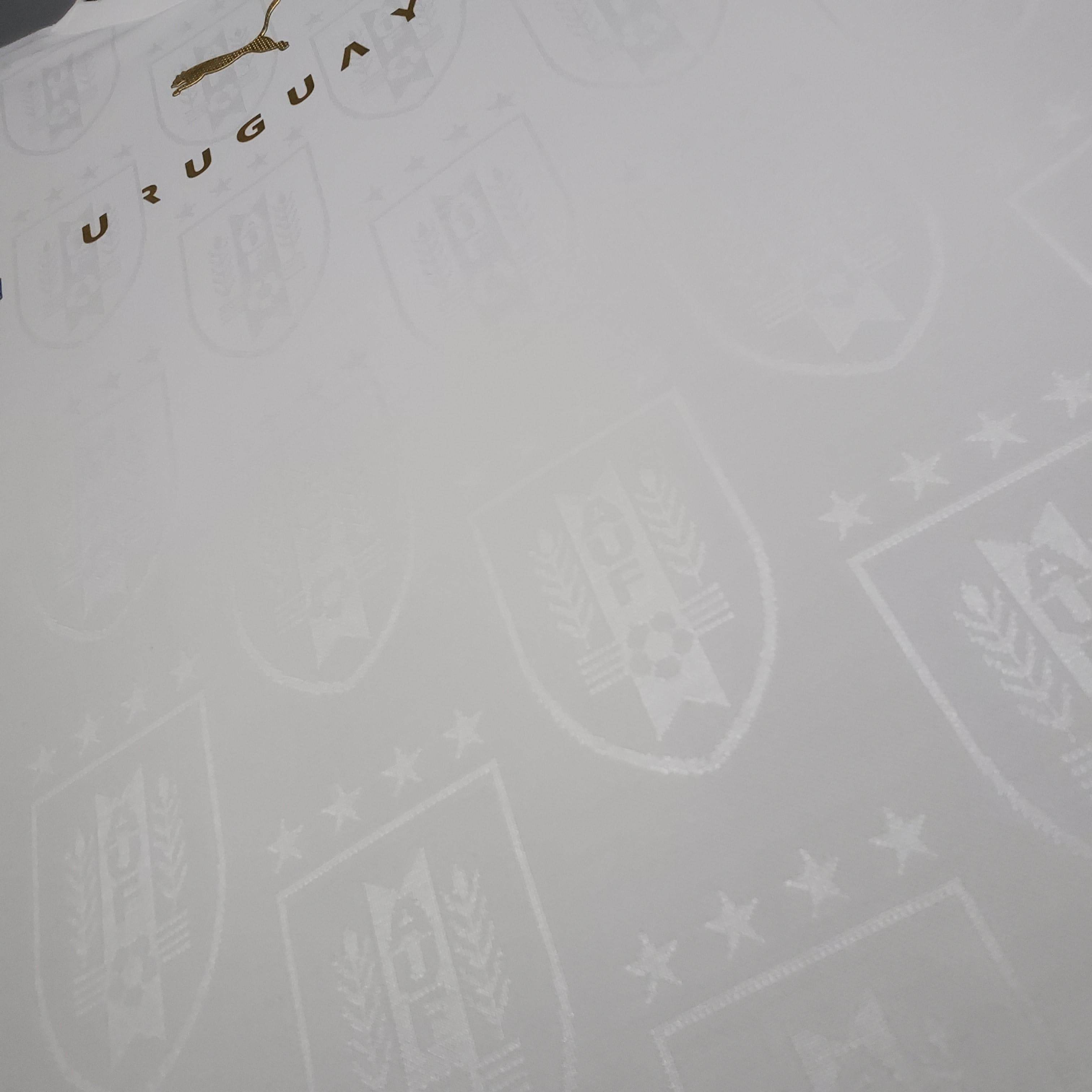 CAMISETA URUGUAY Il EDICIÓN ESPECIAL 21 HOMBRE (VERSIÓN FAN) - ZonaCamisetas
