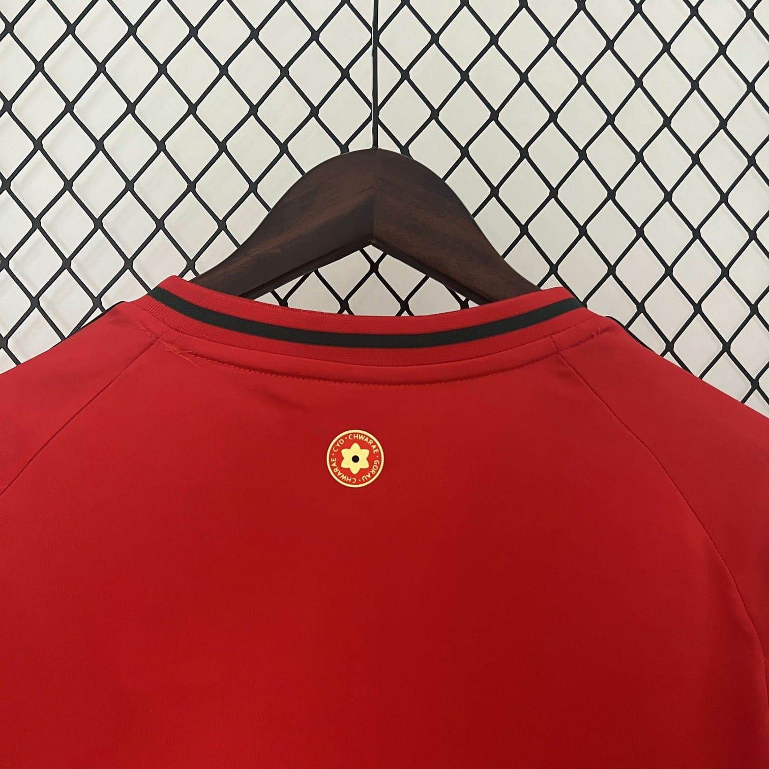 CAMISETA GALES EURO 2024 HOMBRE (VERSIÓN FAN) - ZonaCamisetas