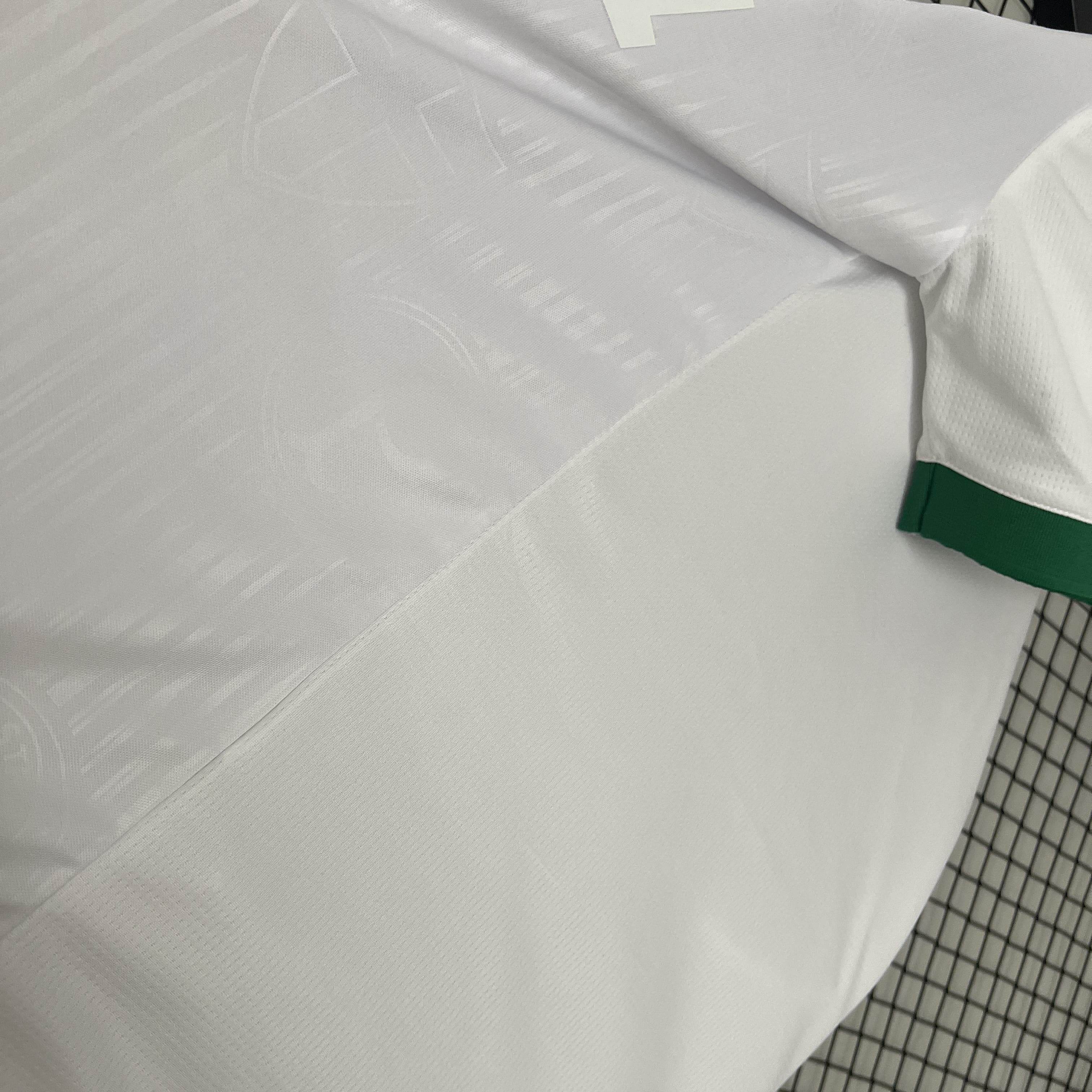 CAMISETA PALMEIRAS I 24/25 HOMBRE EDICIÓN ESPECIAL (VERSIÓN FAN) - ZonaCamisetas