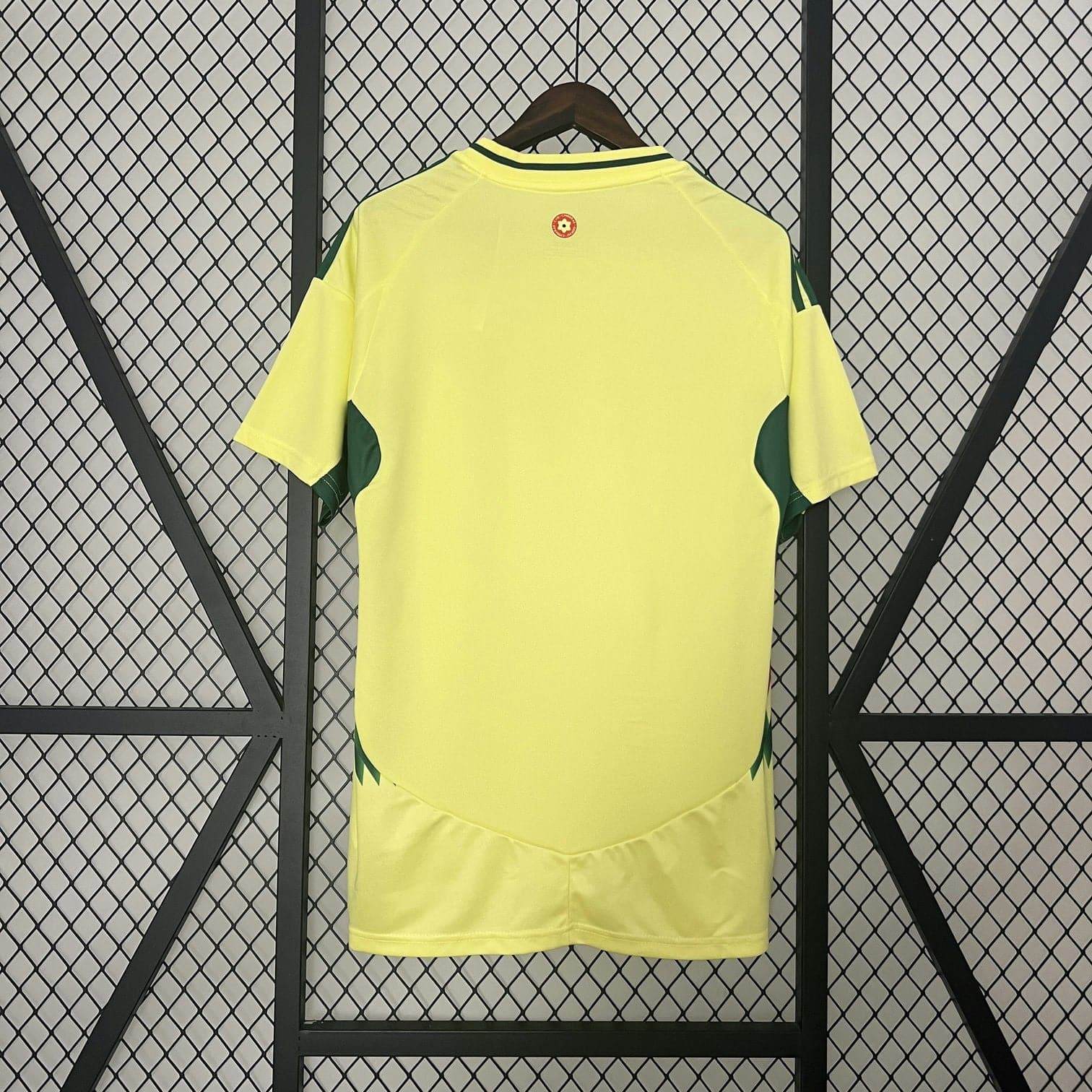 CAMISETA GALES ll EURO 2024 HOMBRE (VERSIÓN FAN) - ZonaCamisetas
