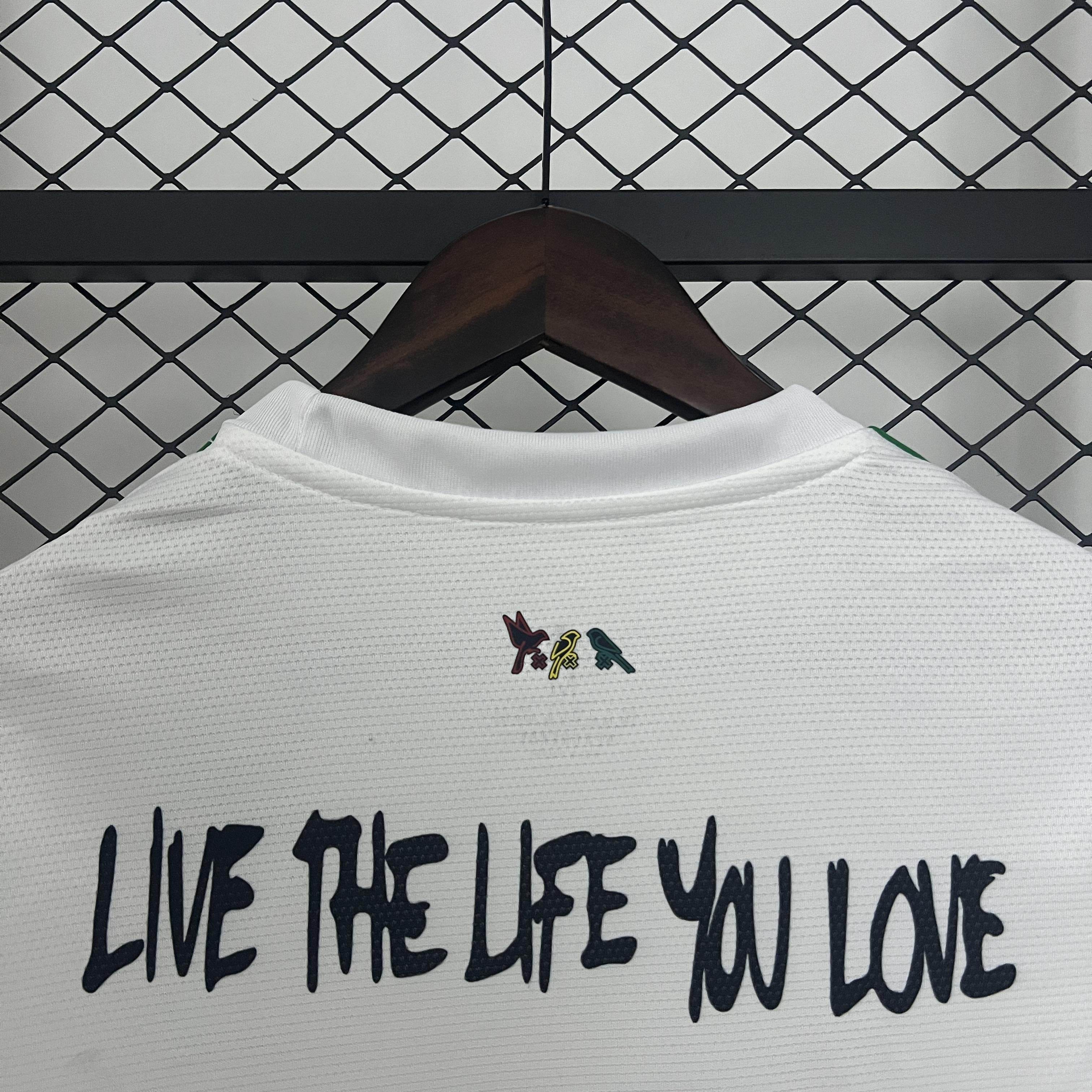 CAMISETA AJAX ESPECIAL I 25/26 HOMBRE (VERSIÓN FAN) - ZonaCamisetas