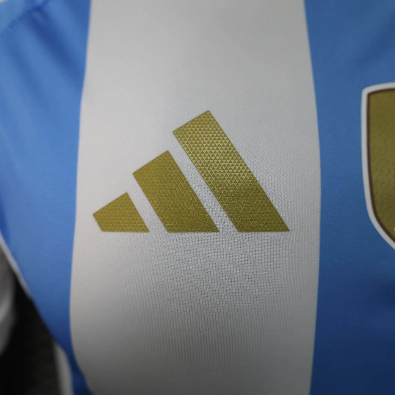 CAMISETA ARGENTINA I COPA AMÉRICA 2024 HOMBRE (VERSIÓN JUGADOR) - ZonaCamisetas