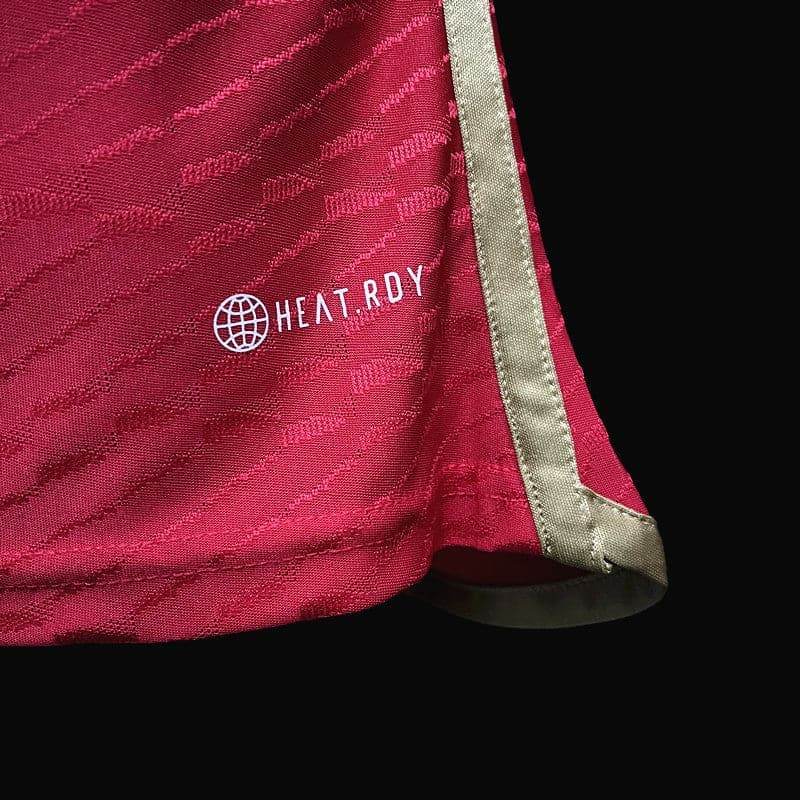 CAMISETA ARSENAL EDICIÓN ESPECIAL VI 23/24 HOMBRE (VERSIÓN JUGADOR) - ZonaCamisetas