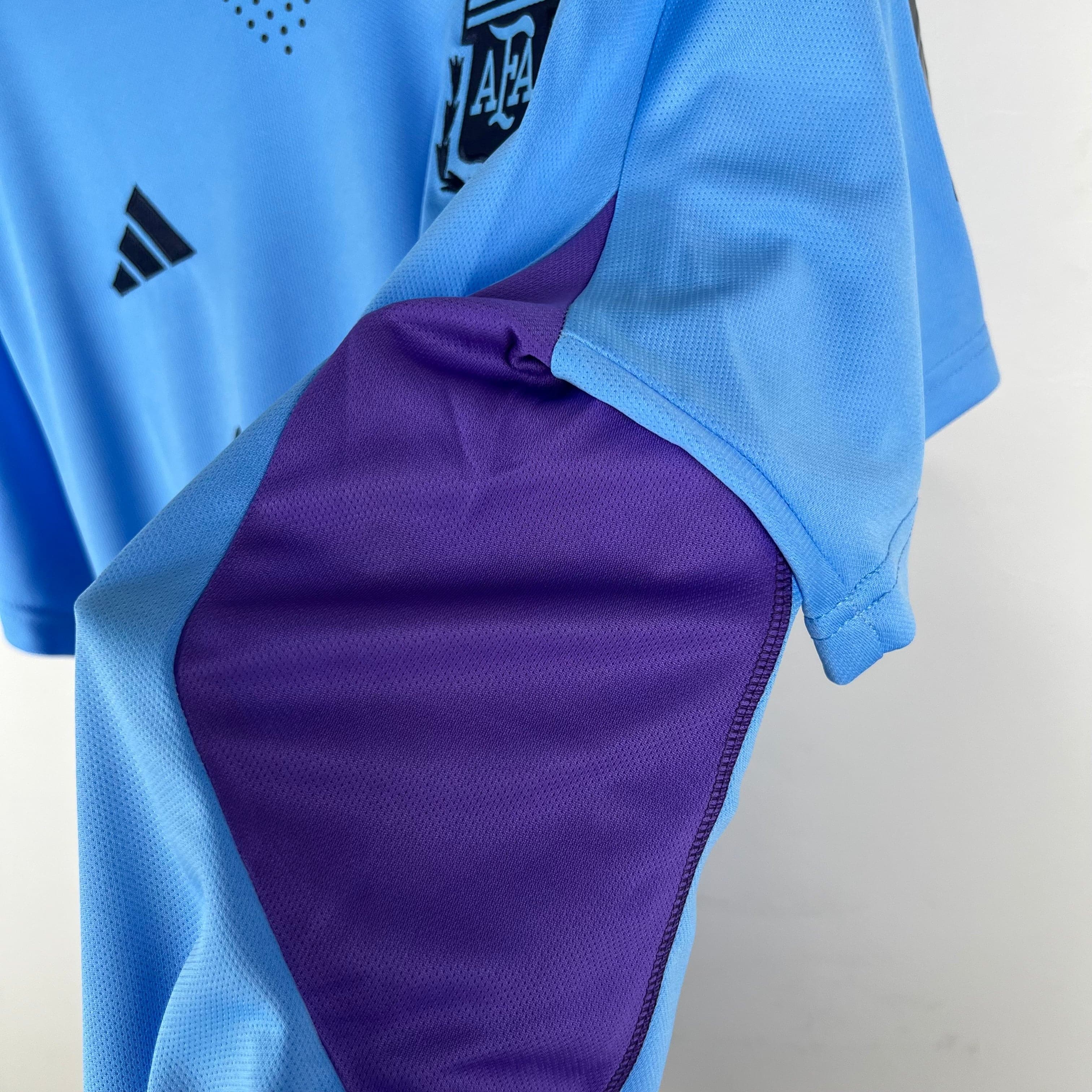 CAMISETA ARGENTINA ENTRENAMIENTO I 23/24 HOMBRE (VERSIÓN FAN)