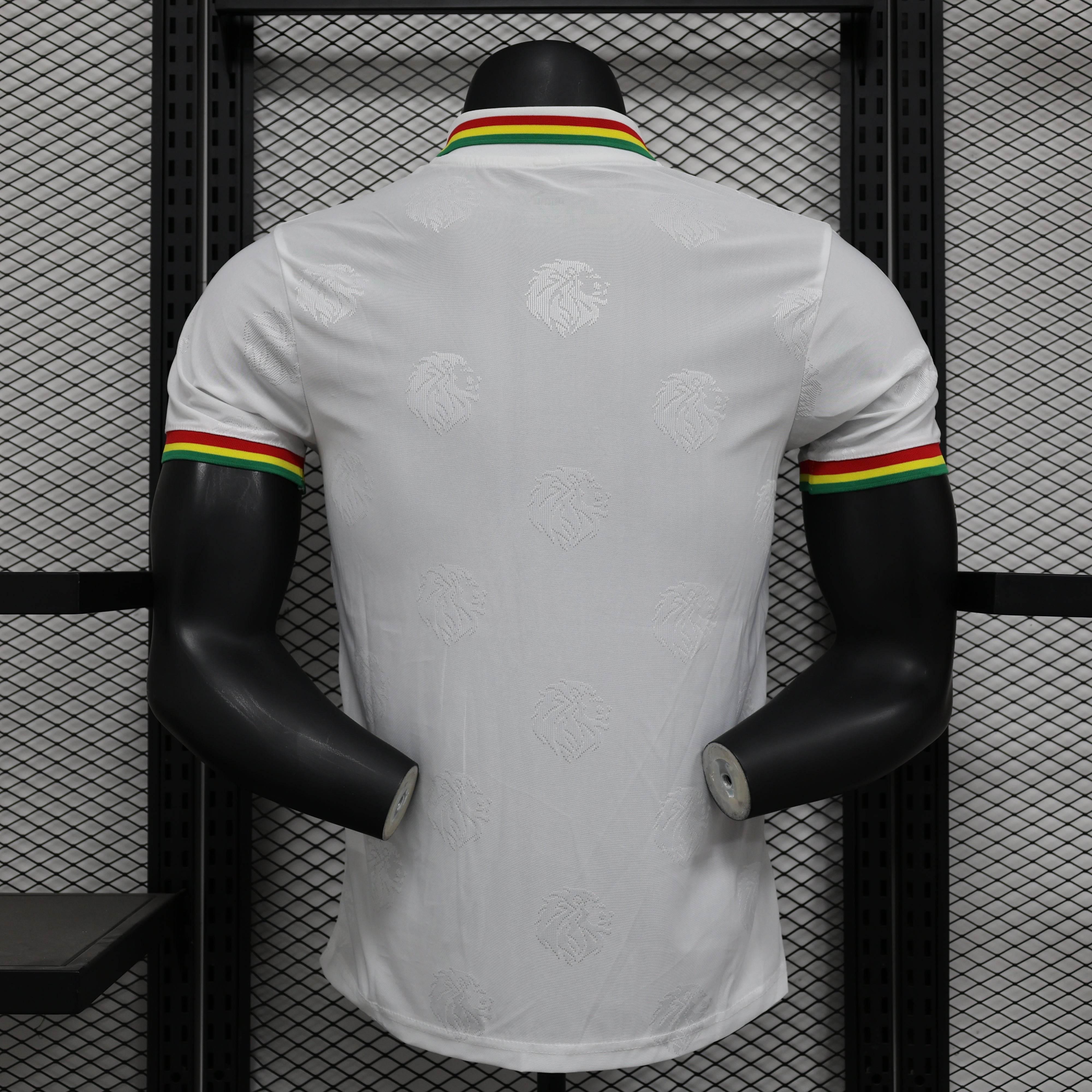 CAMISETA SENEGAL l 24/25 HOMBRE (VERSIÓN JUGADOR) - ZonaCamisetas