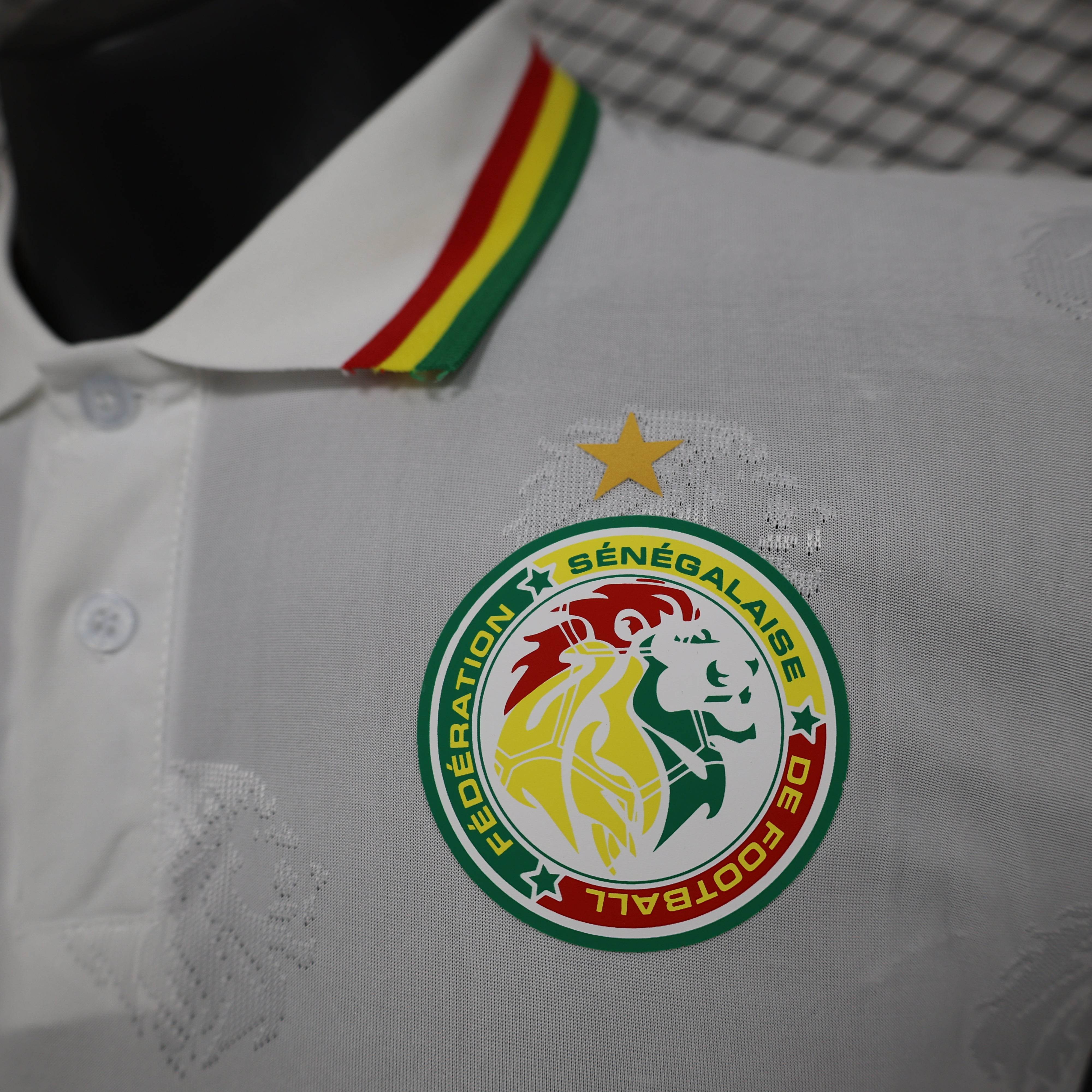 CAMISETA SENEGAL l 24/25 HOMBRE (VERSIÓN JUGADOR) - ZonaCamisetas