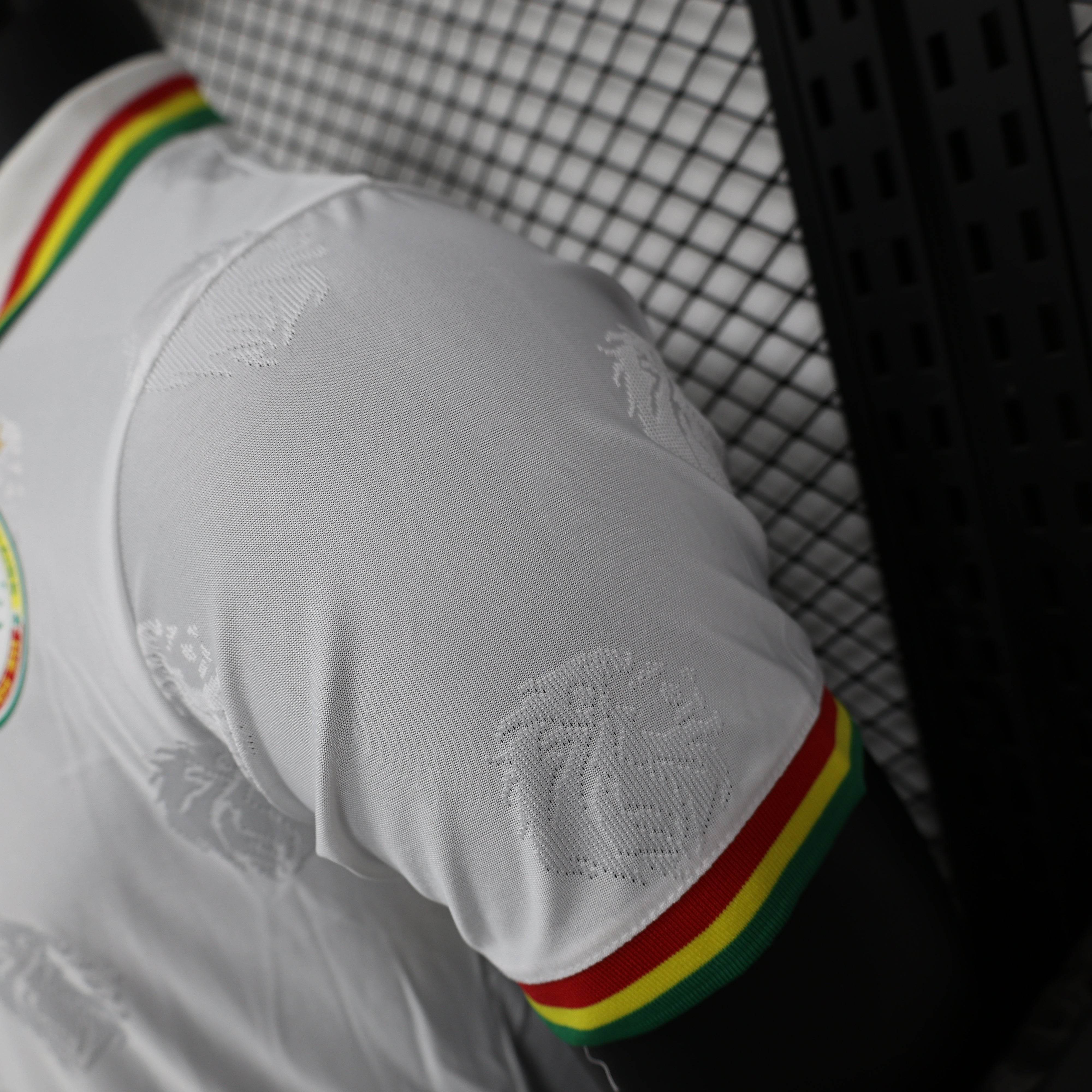 CAMISETA SENEGAL l 24/25 HOMBRE (VERSIÓN JUGADOR) - ZonaCamisetas