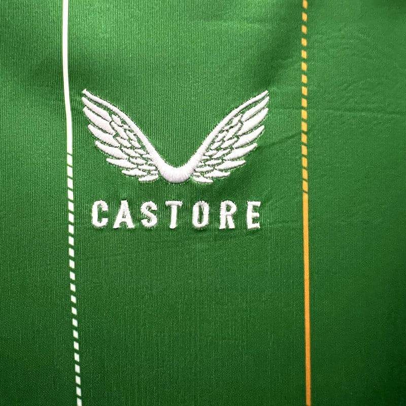 CAMISETA IRLANDA I 23/24 HOMBRE (VERSIÓN FAN) - ZonaCamisetas