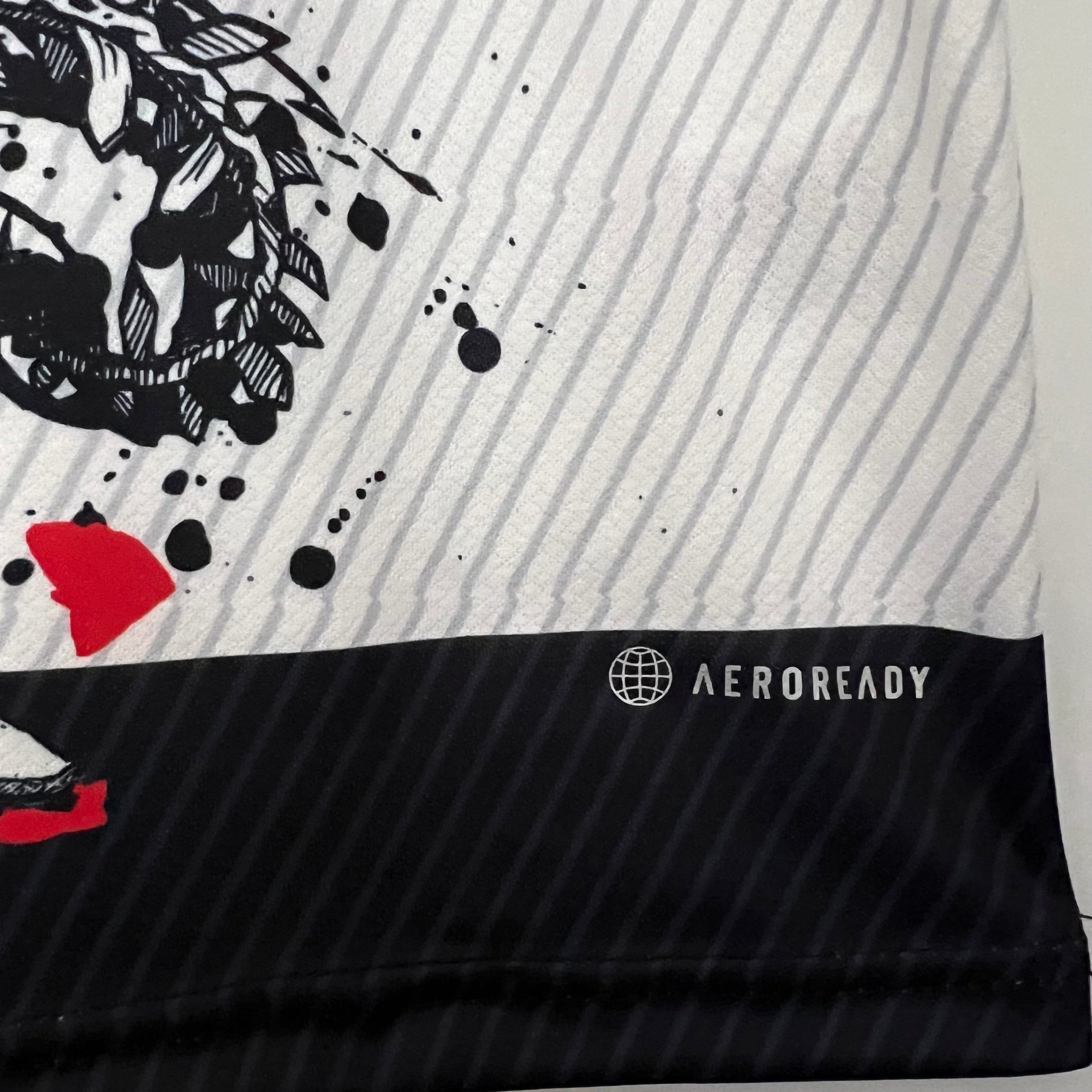 CAMISETA JAPÓN EDICIÓN ESPECIAL V 23/24 HOMBRE (VERSIÓN FAN)