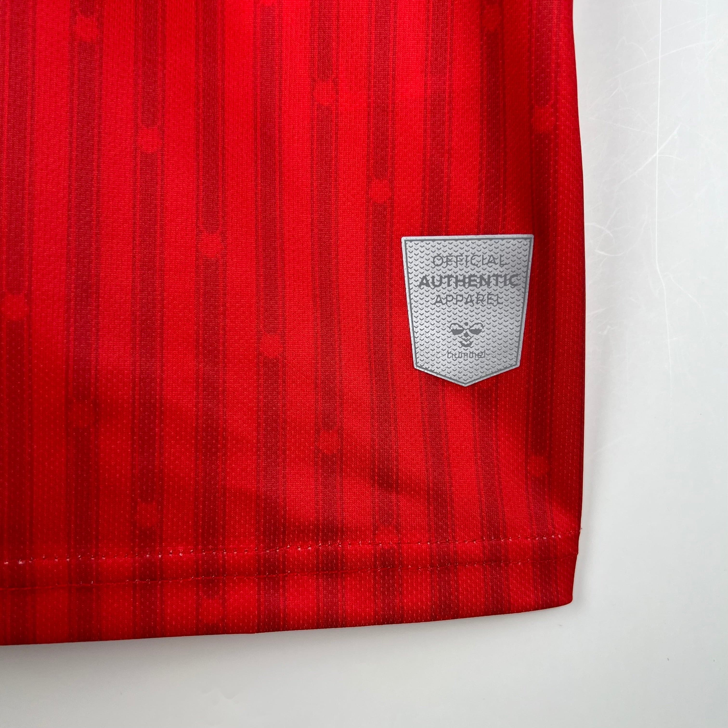 CAMISETA SOUTHAMPTON I 23/24 HOMBRE (VERSIÓN FAN)