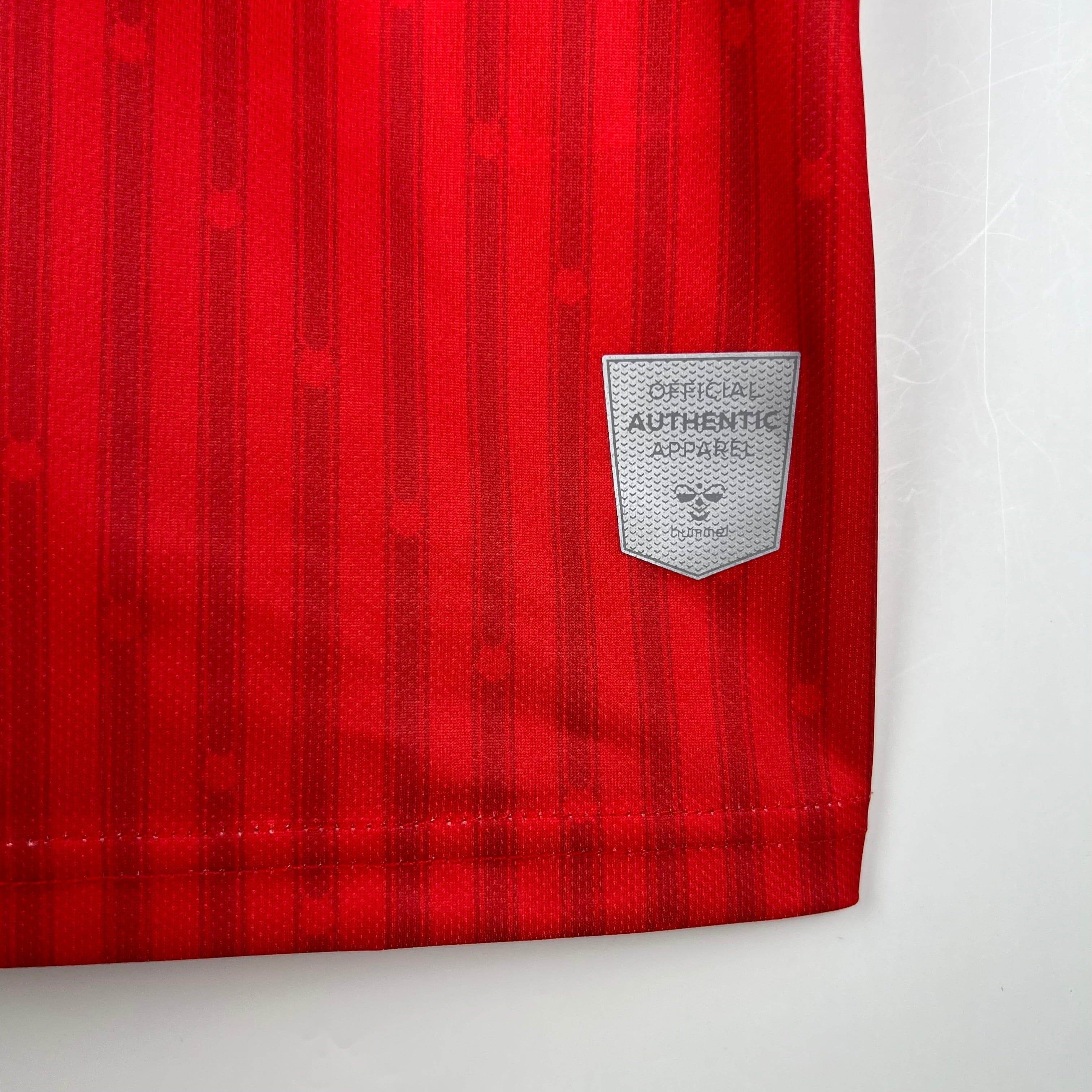 CAMISETA SOUTHAMPTON I 23/24 HOMBRE (VERSIÓN FAN) - ZonaCamisetas