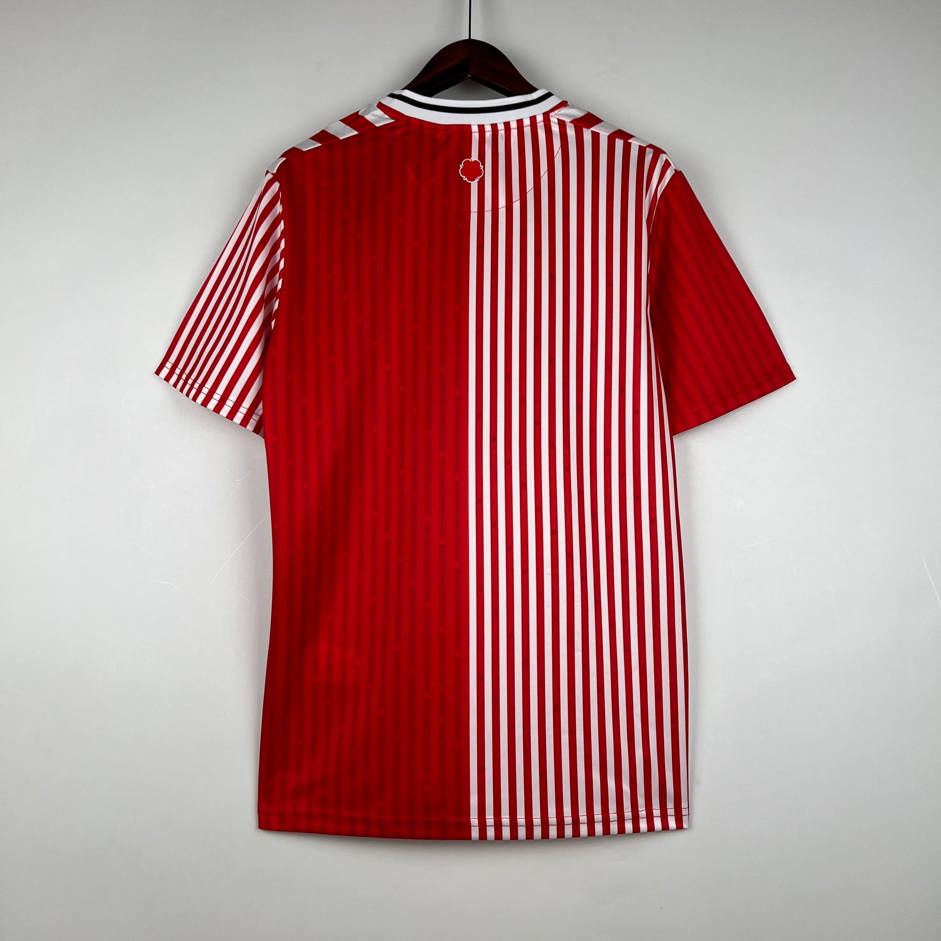 CAMISETA SOUTHAMPTON I 23/24 HOMBRE (VERSIÓN FAN)